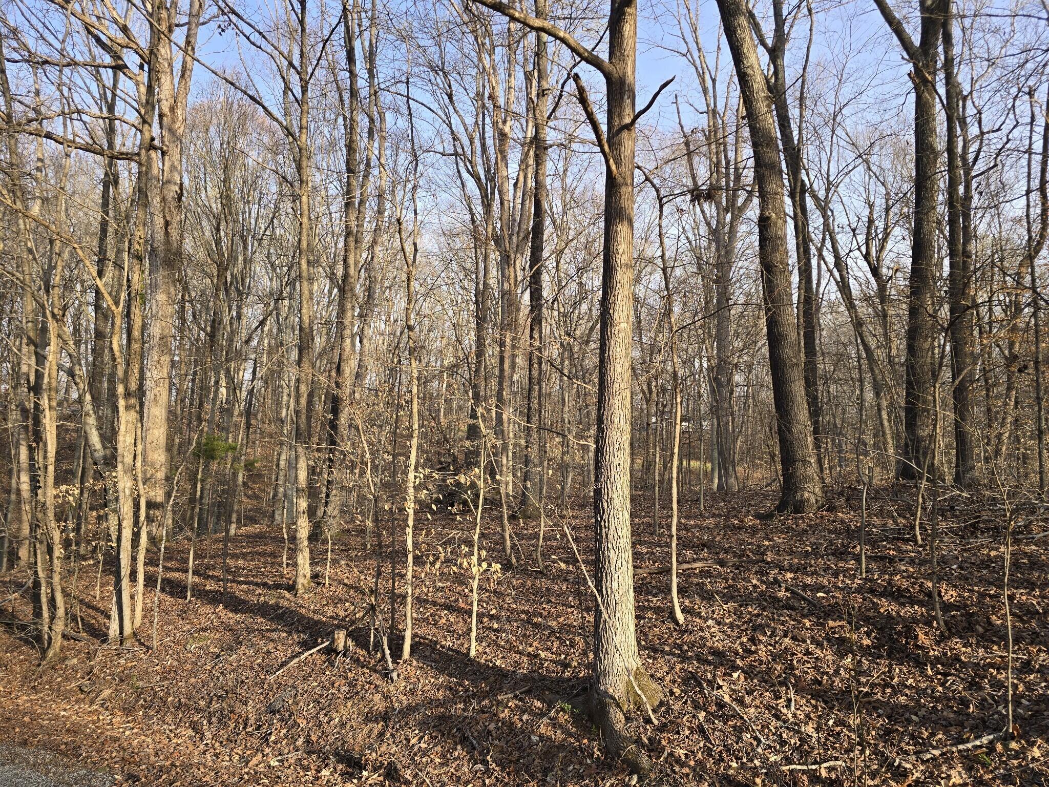 Lot 33 C -1 Rockcastle Shores Property Photo 4