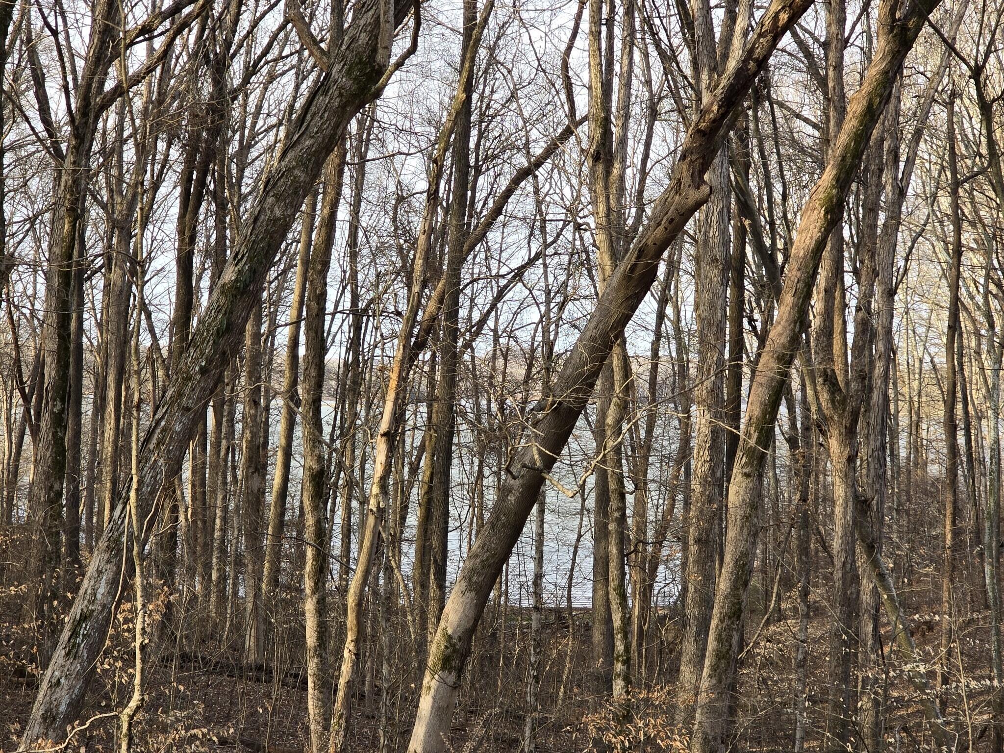 Lot 33 C -1 Rockcastle Shores Property Photo 5