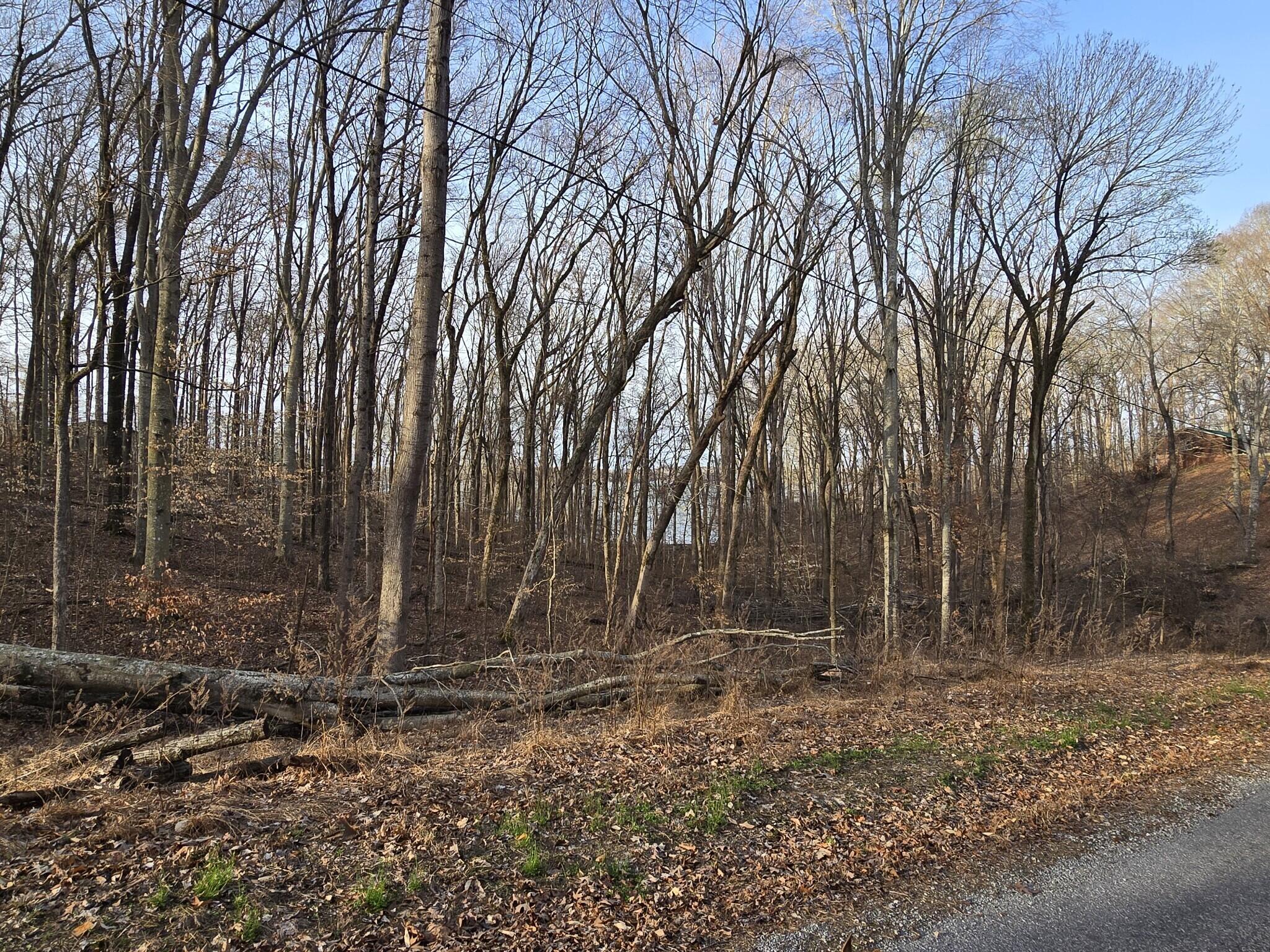 Lot 33 C -1 Rockcastle Shores Property Photo 6