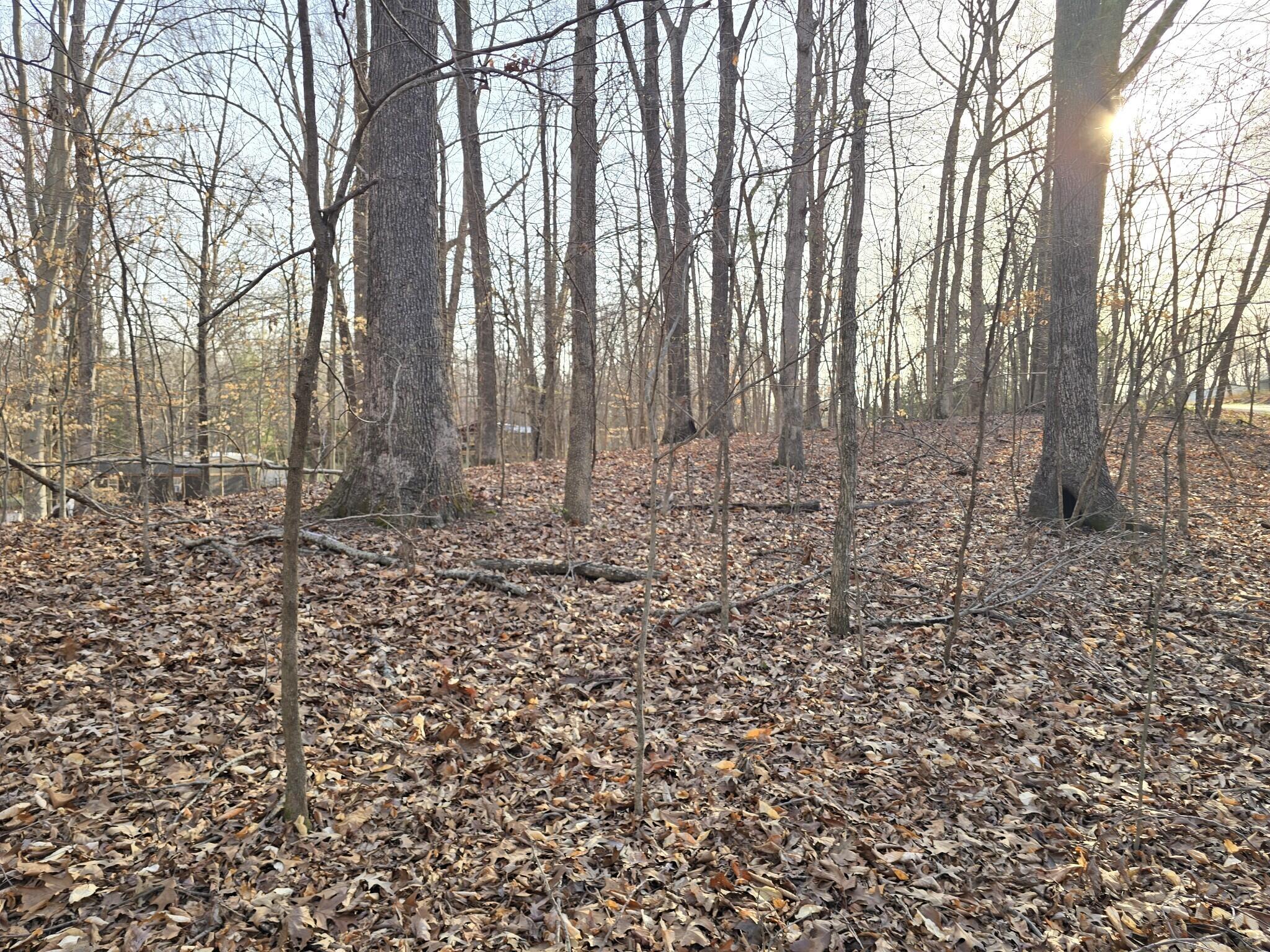 Lot 33 C -1 Rockcastle Shores Property Photo 7