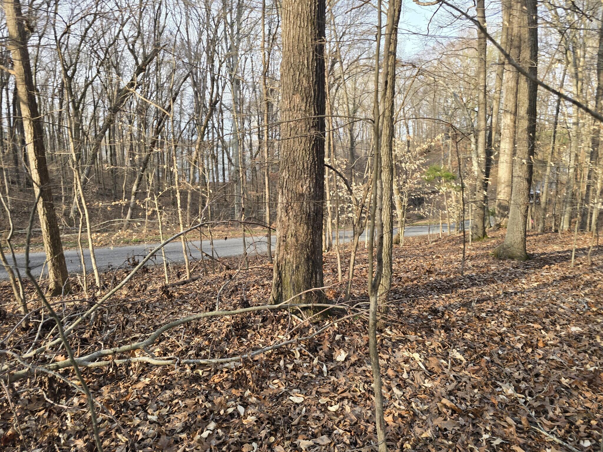 Lot 33 C -1 Rockcastle Shores Property Photo 8