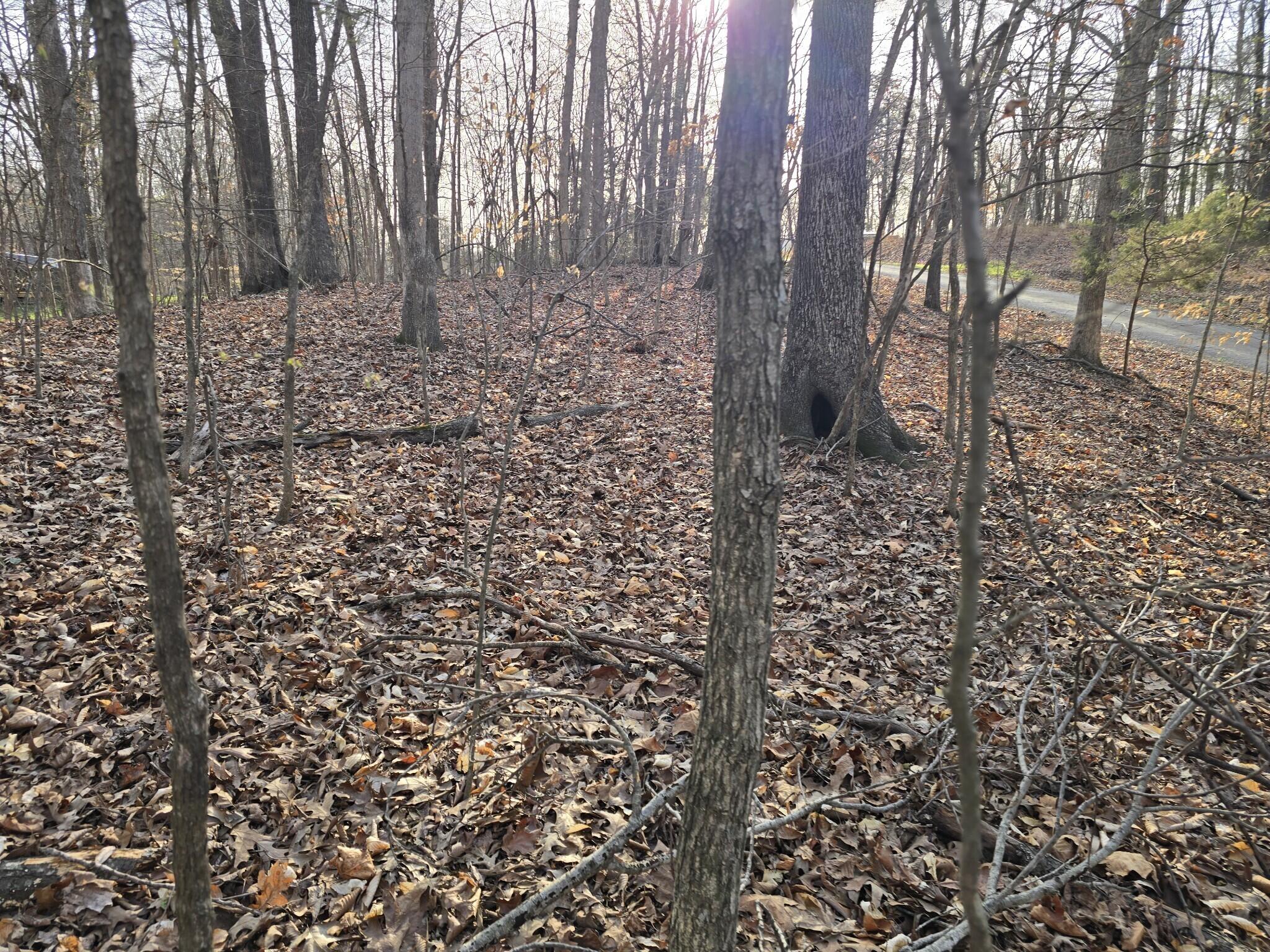 Lot 33 C -1 Rockcastle Shores Property Photo 9