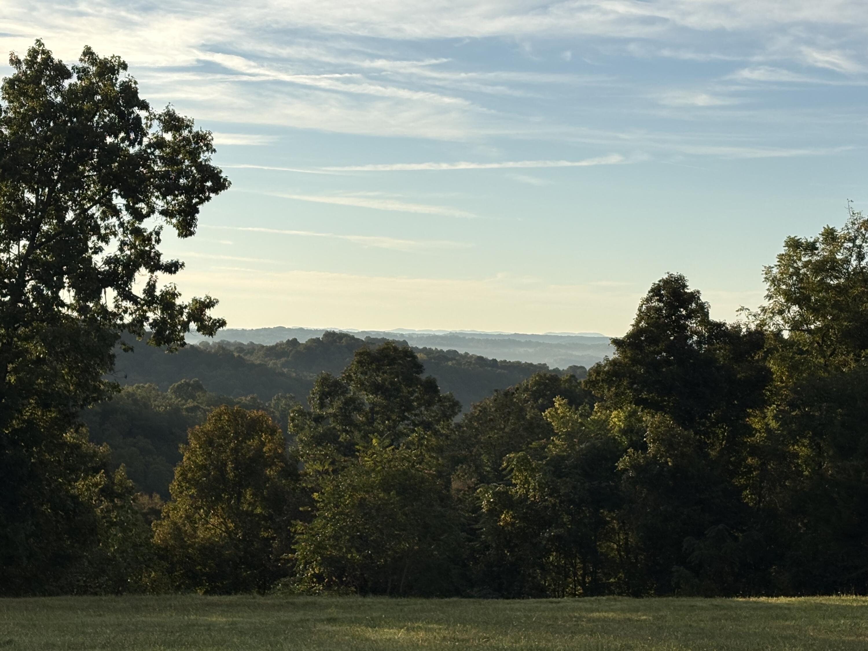 648 S Highway 379 Property Photo 3