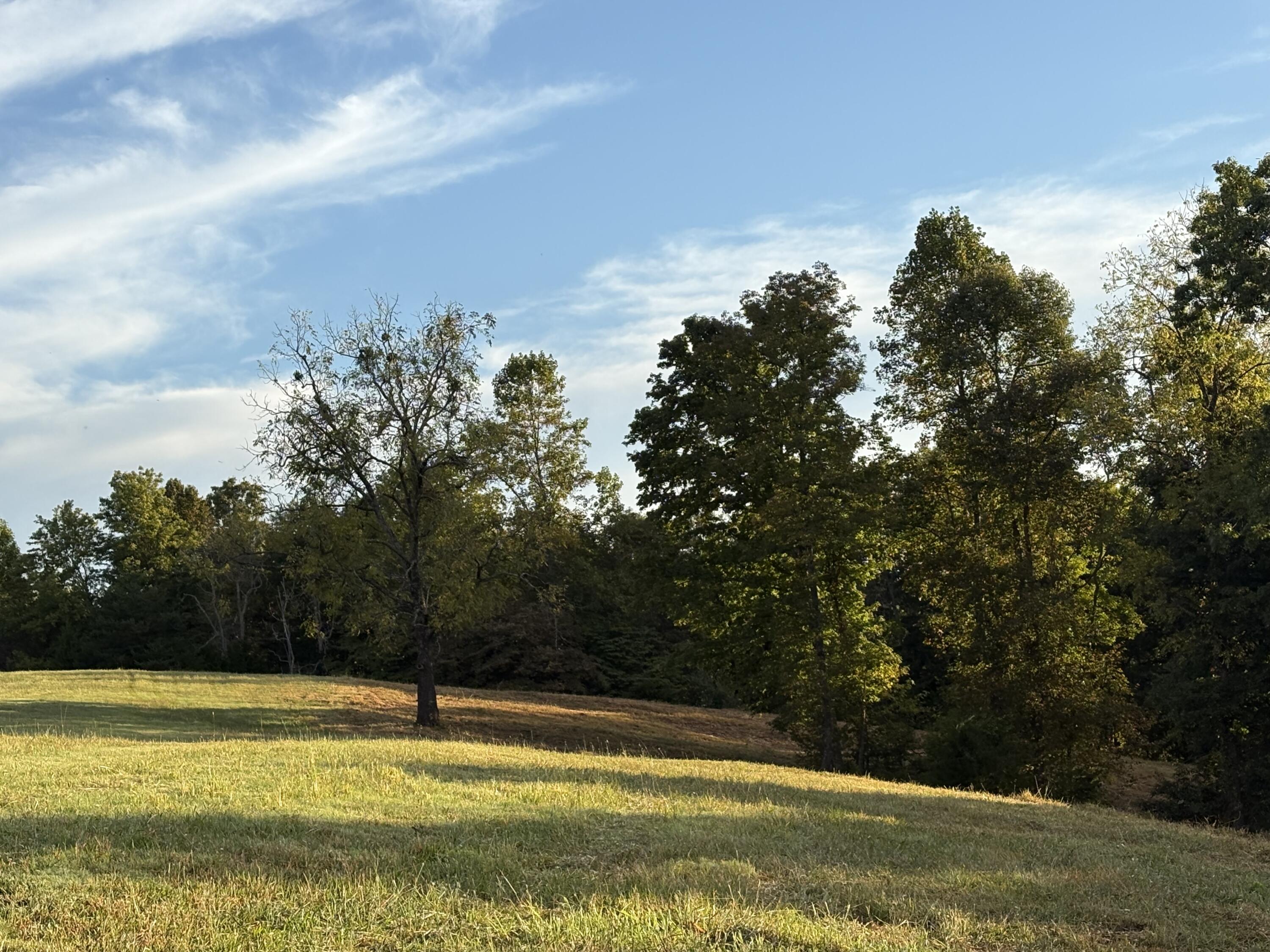 648 S Highway 379 Property Photo 9