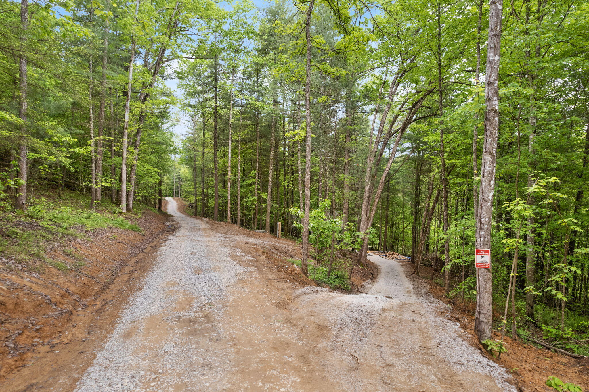 6 Firefly Lane Property Photo 8
