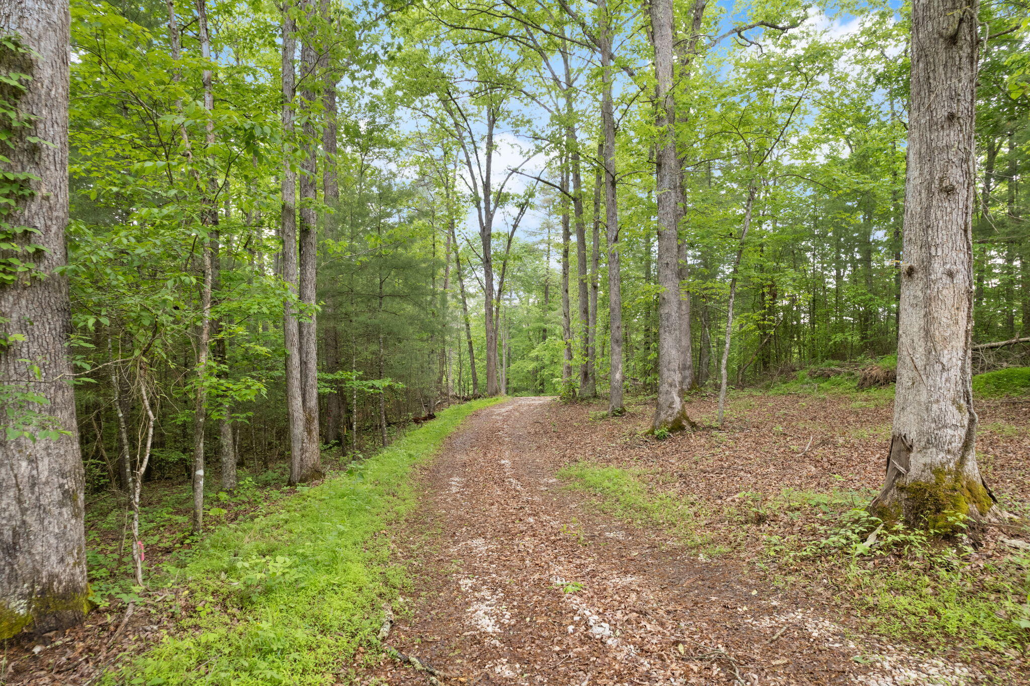 7 Firefly Lane Property Photo 25