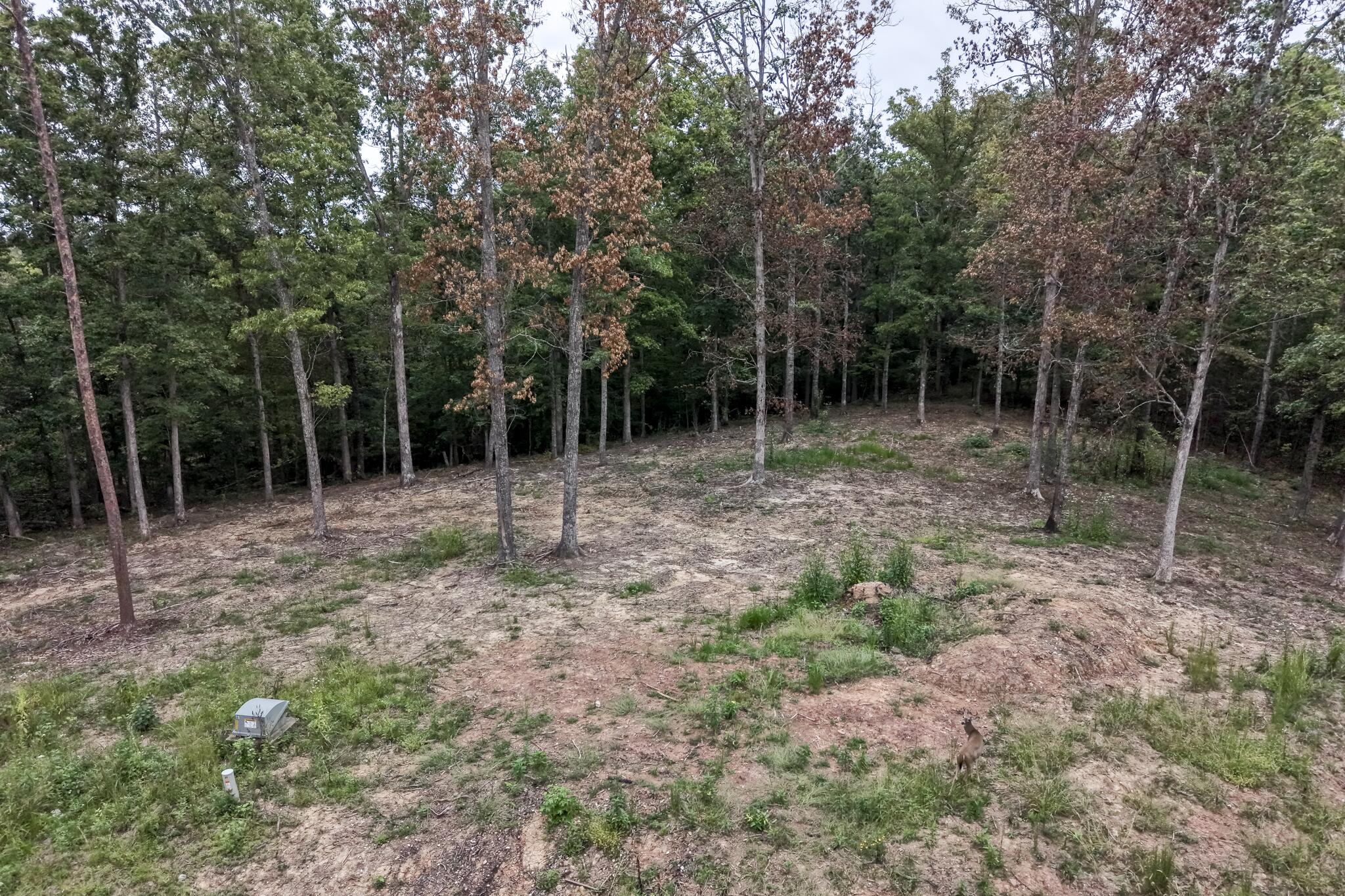 Lots 21 Property Photo 1
