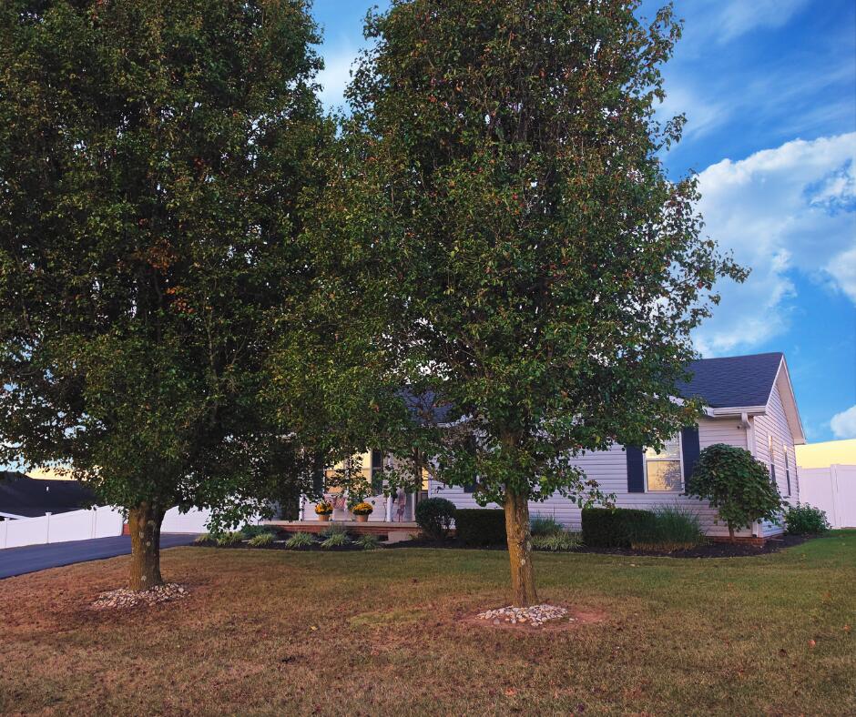 205 Helena Drive Property Photo 3