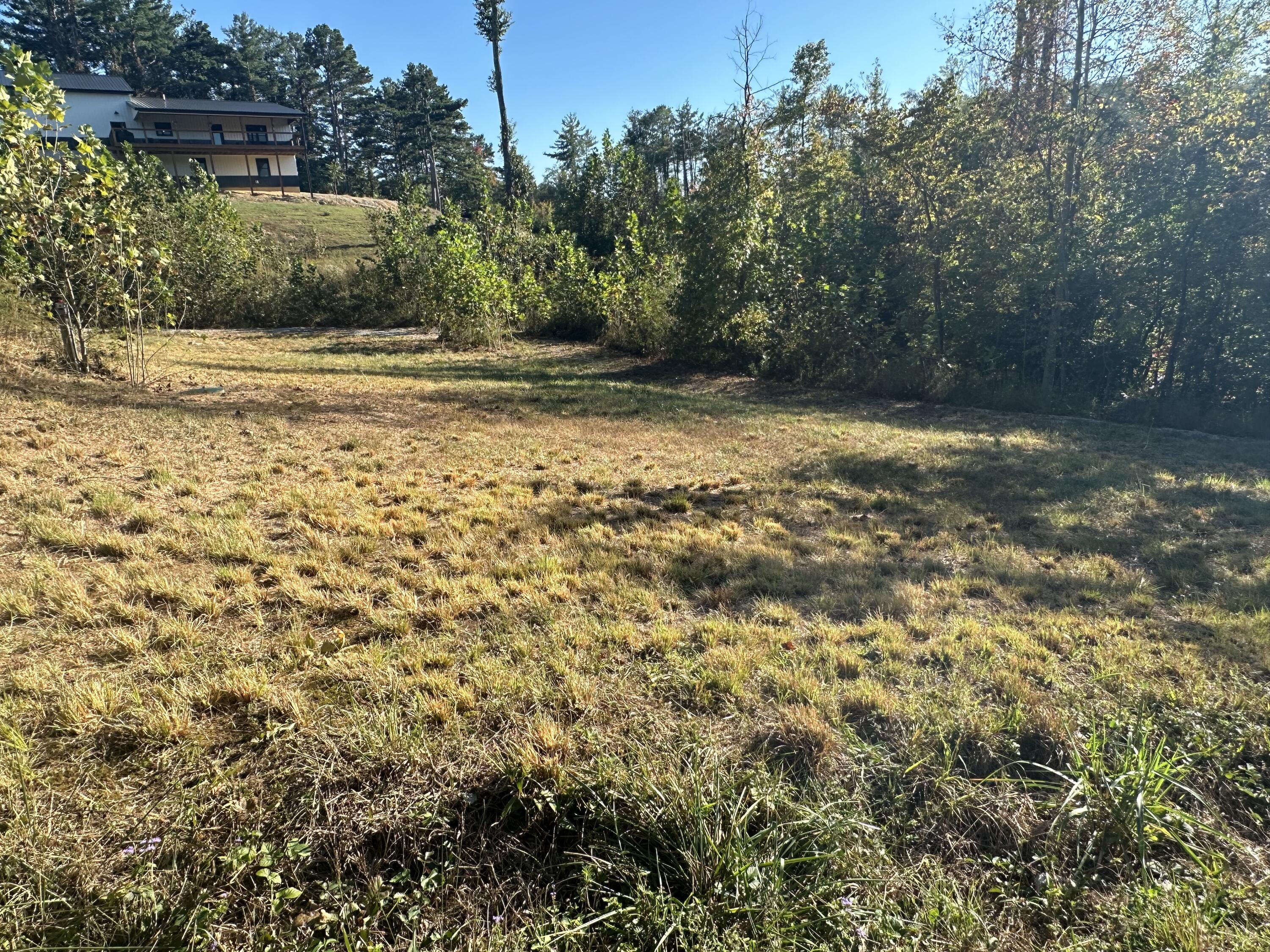 51 Shinbone Drive Property Photo 4
