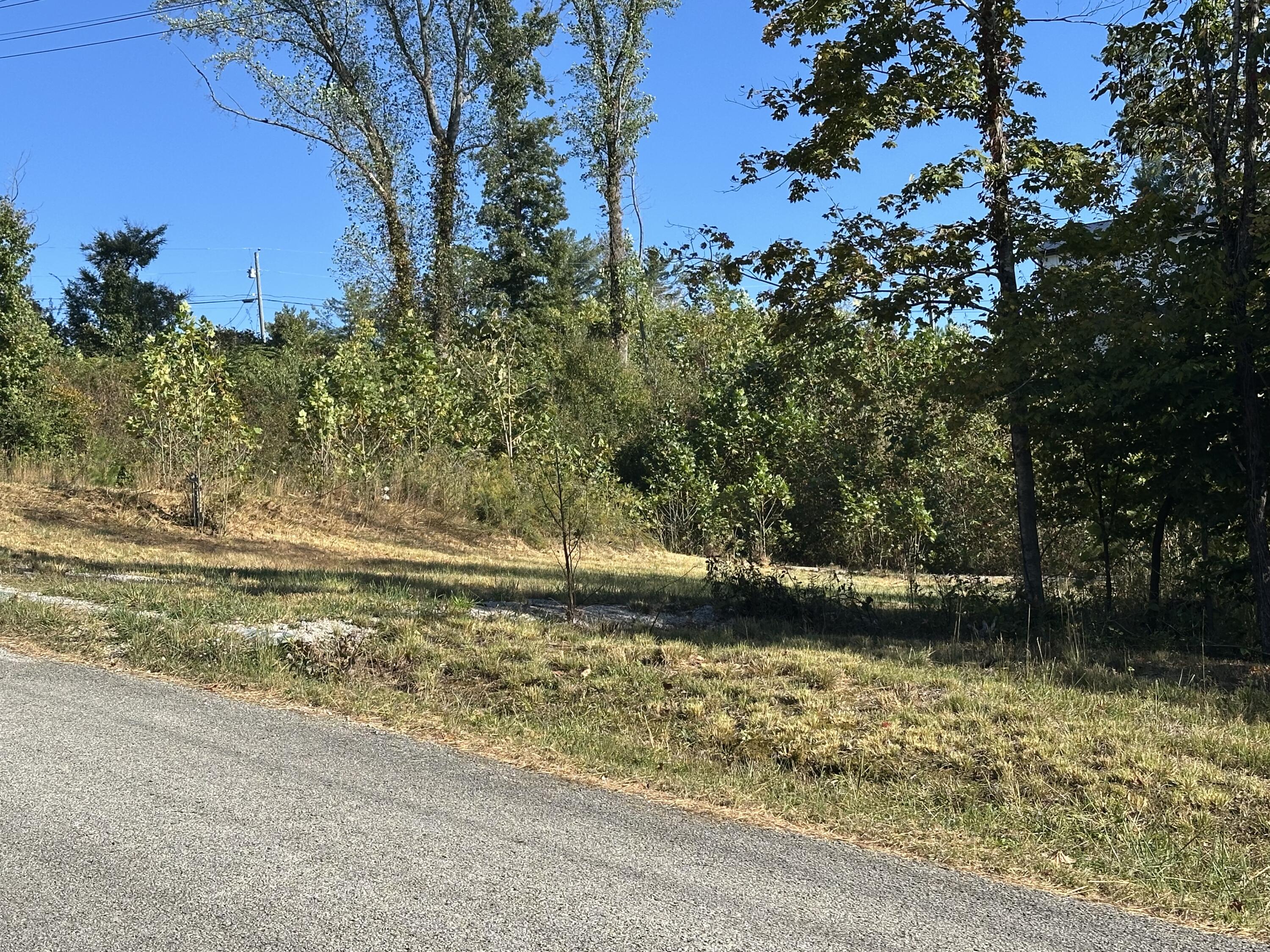 51 Shinbone Drive Property Photo 11
