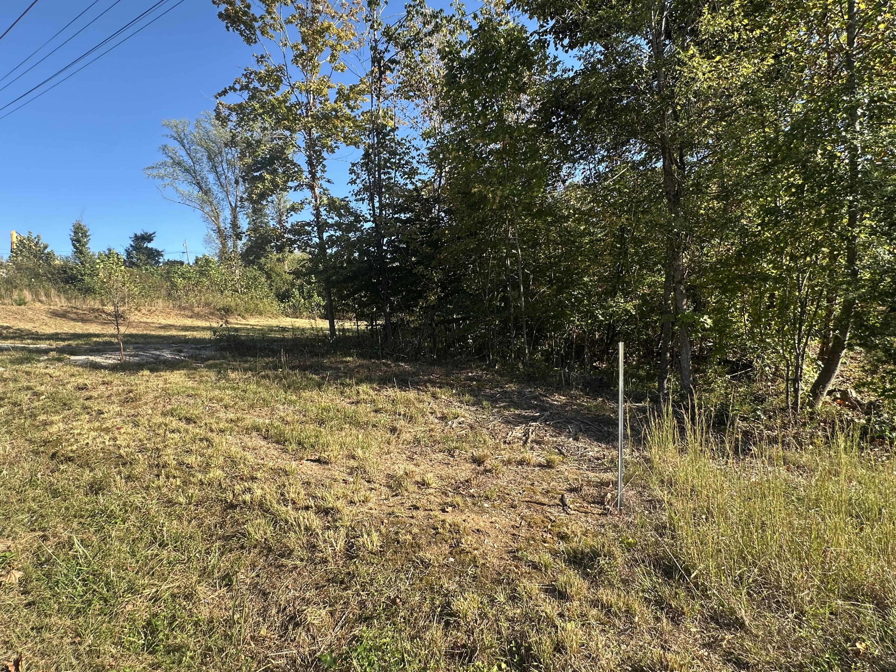 51 Shinbone Drive Property Photo 12