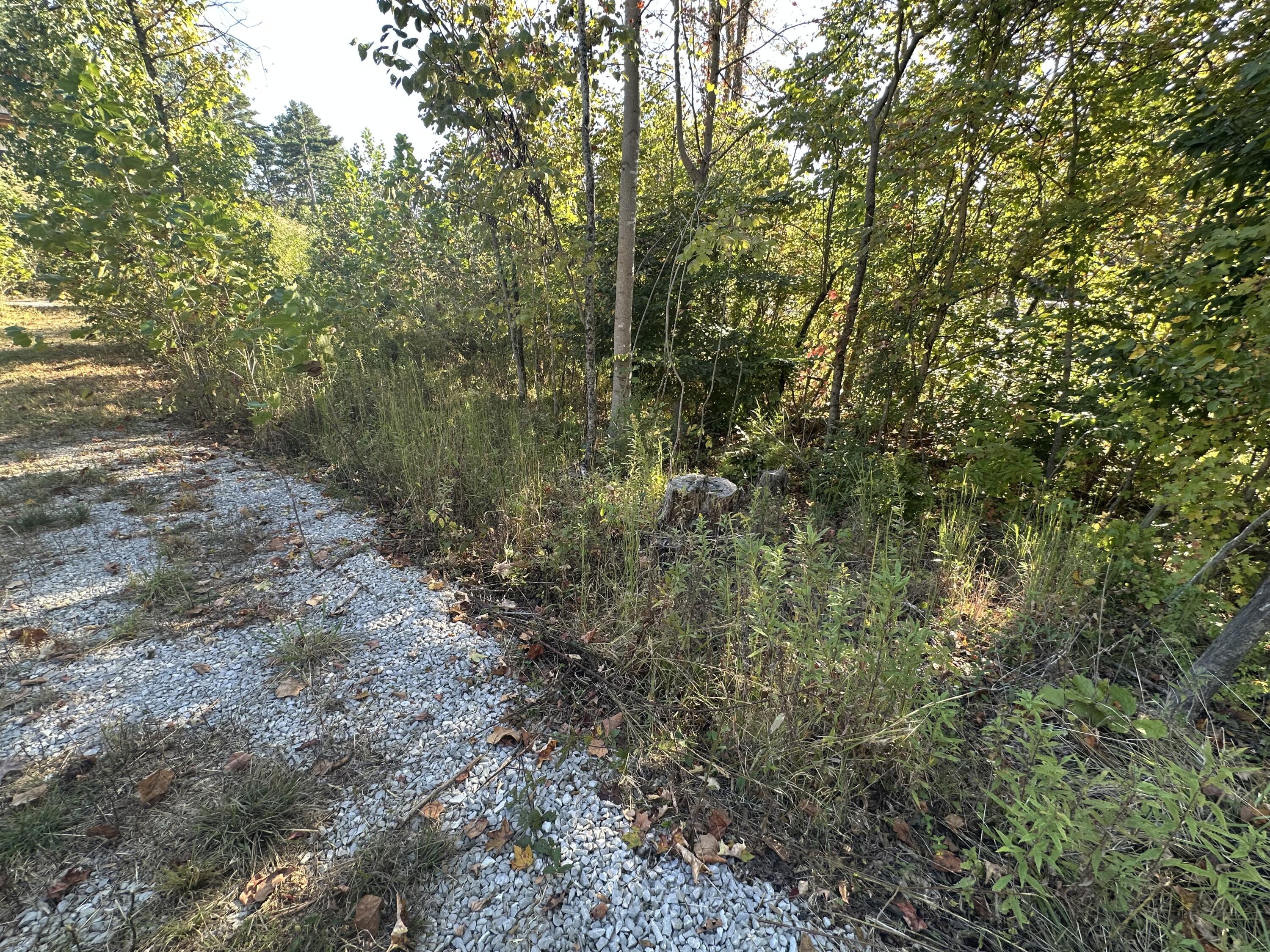 51 Shinbone Drive Property Photo 13