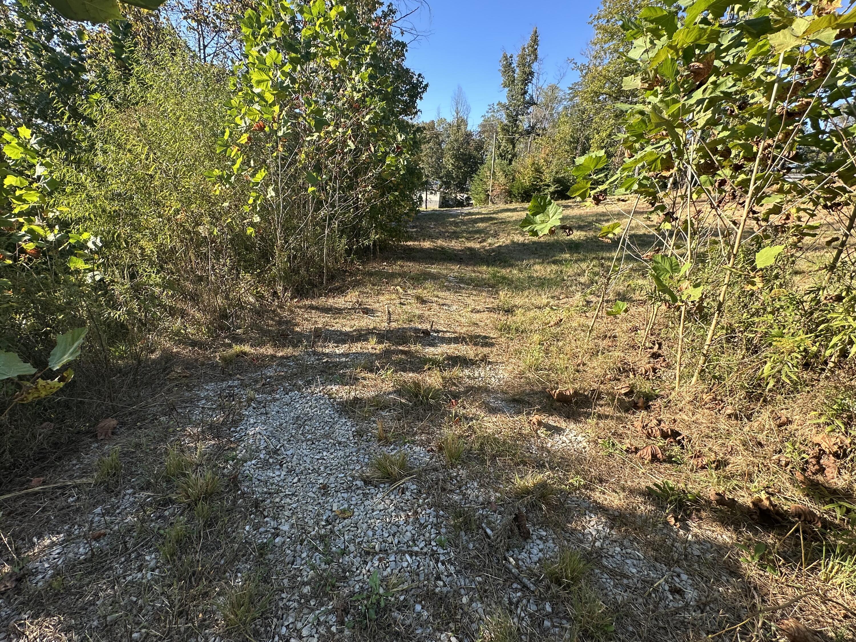51 Shinbone Drive Property Photo 15