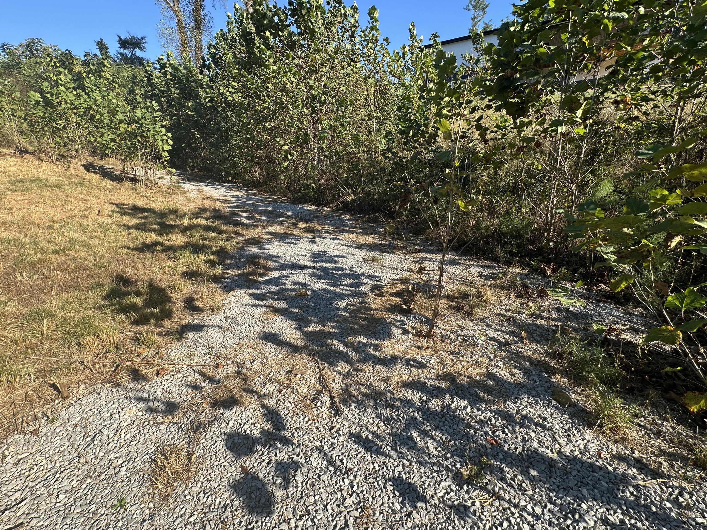 51 Shinbone Drive Property Photo 16