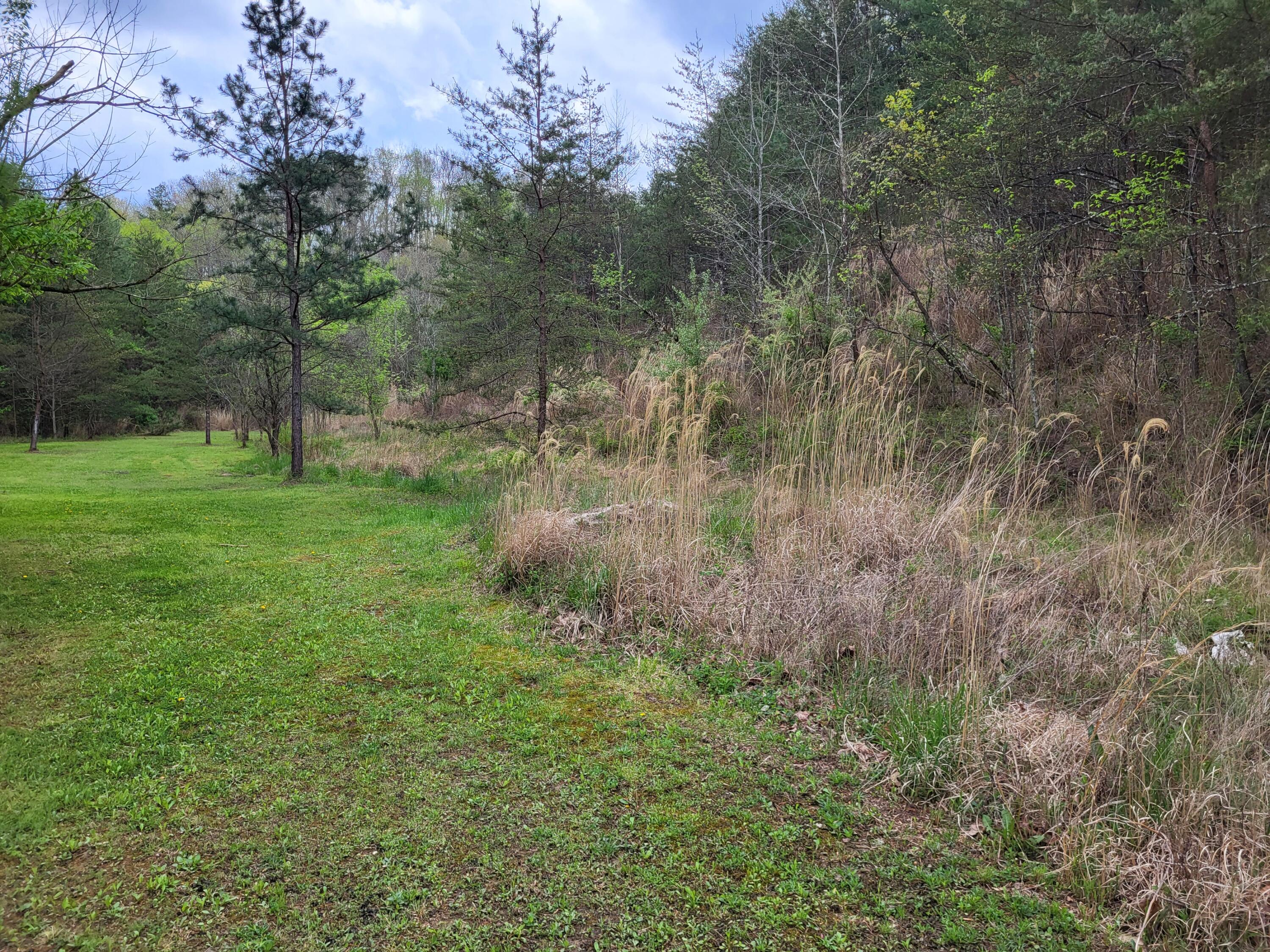 213 Ky-1232 Highway Property Photo 3