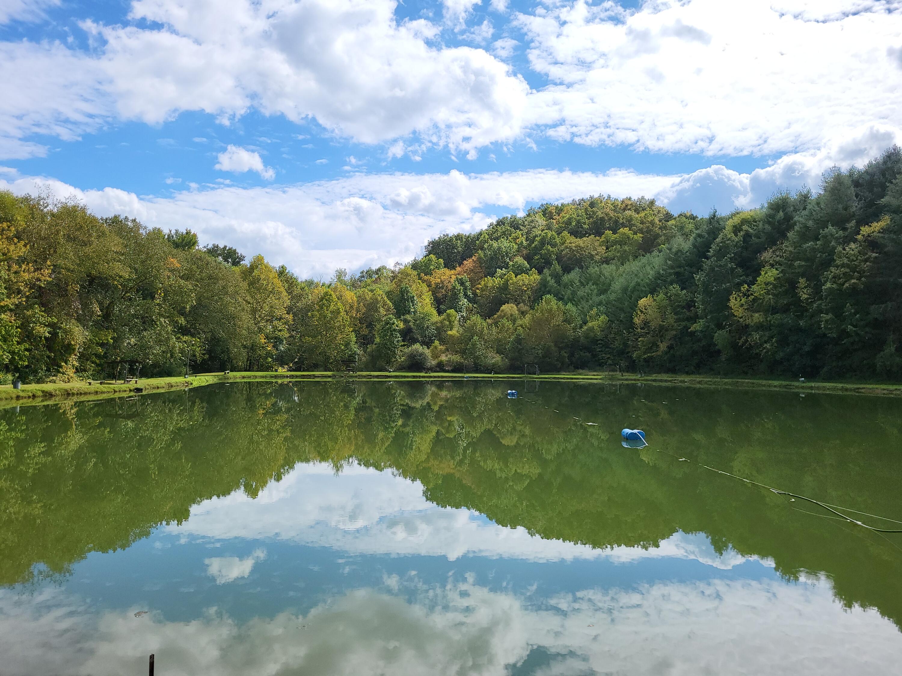 213 Ky-1232 Highway Property Photo 11