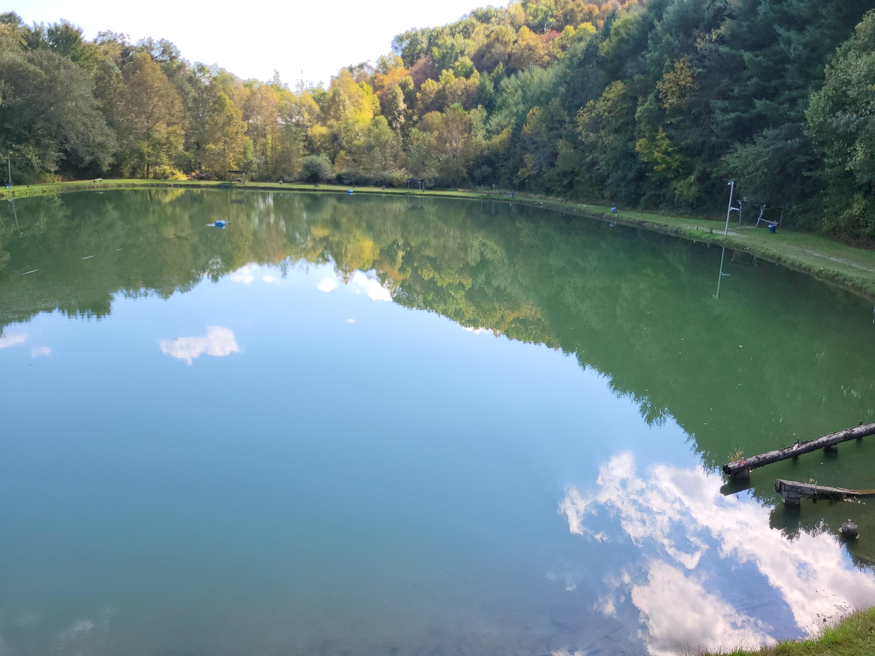 213 Ky-1232 Highway Property Photo 14