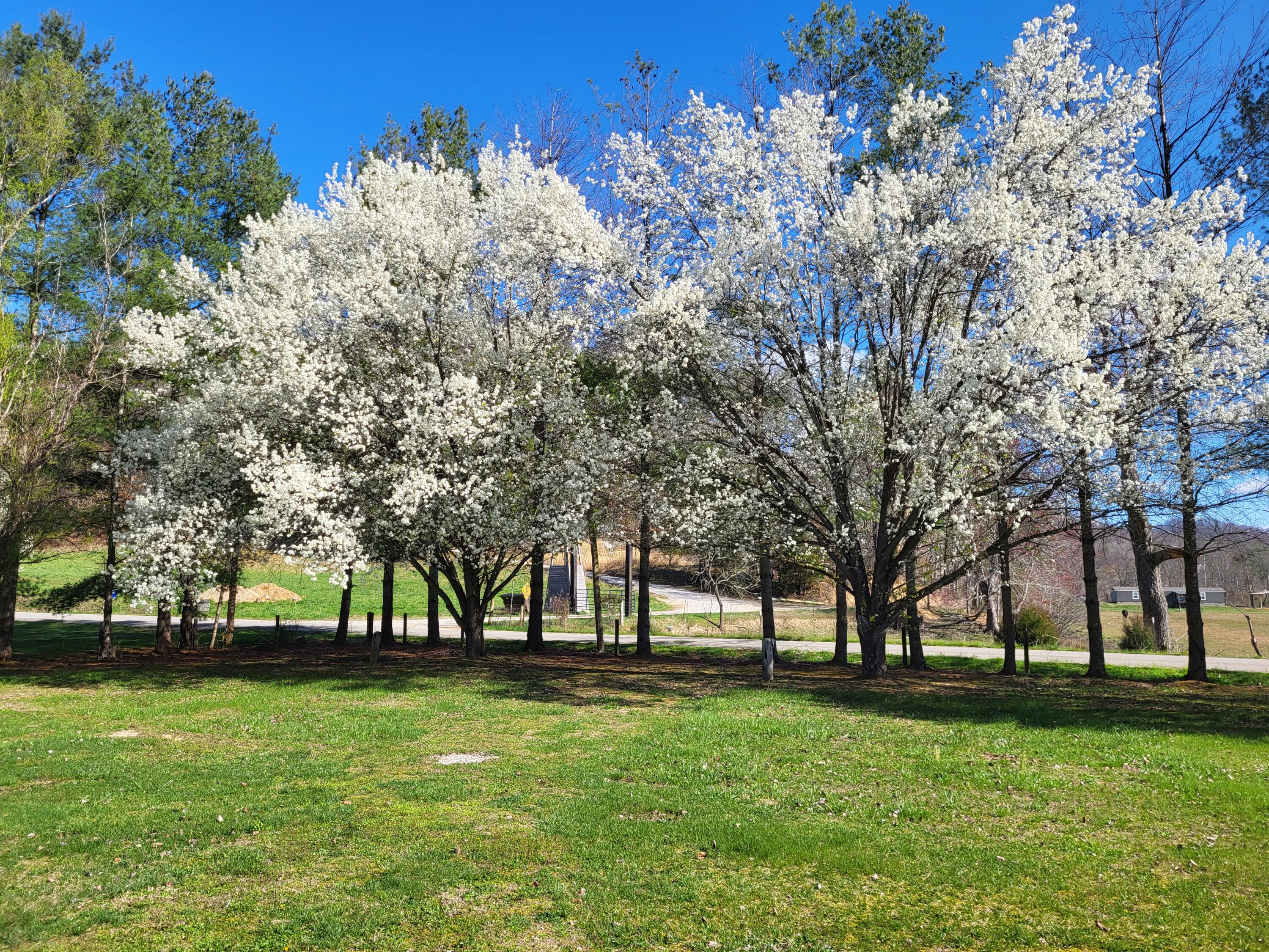 213 Ky-1232 Highway Property Photo 32