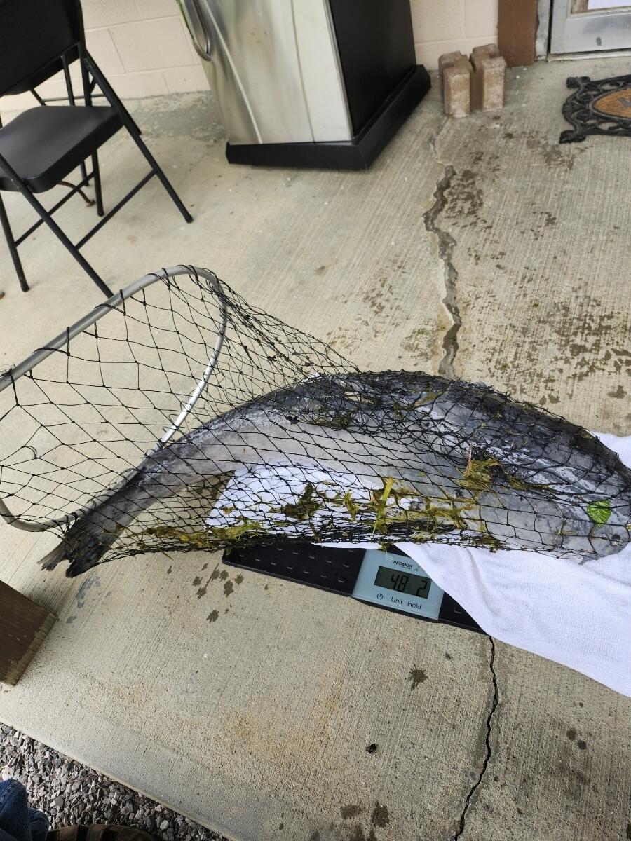 213 Ky-1232 Highway Property Photo 82
