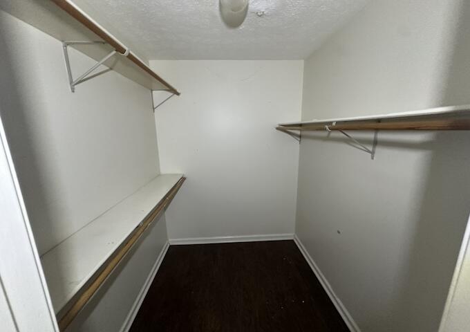509 Pine Street Property Photo 11