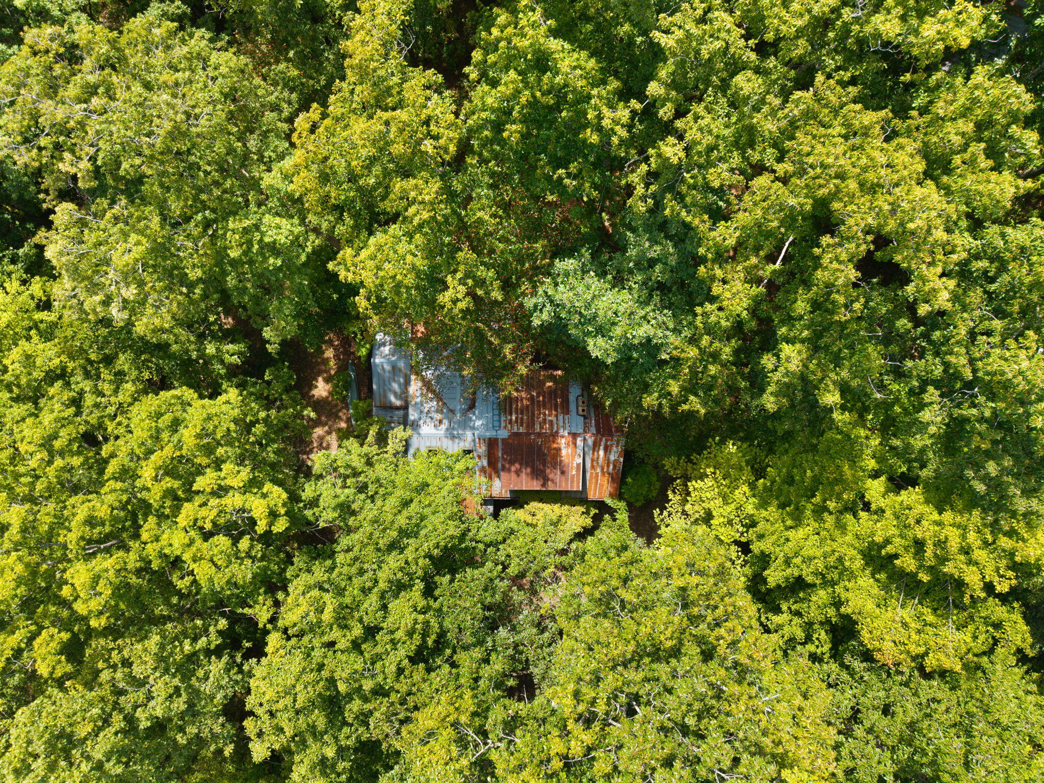 200 Lacy Lane Property Photo 10