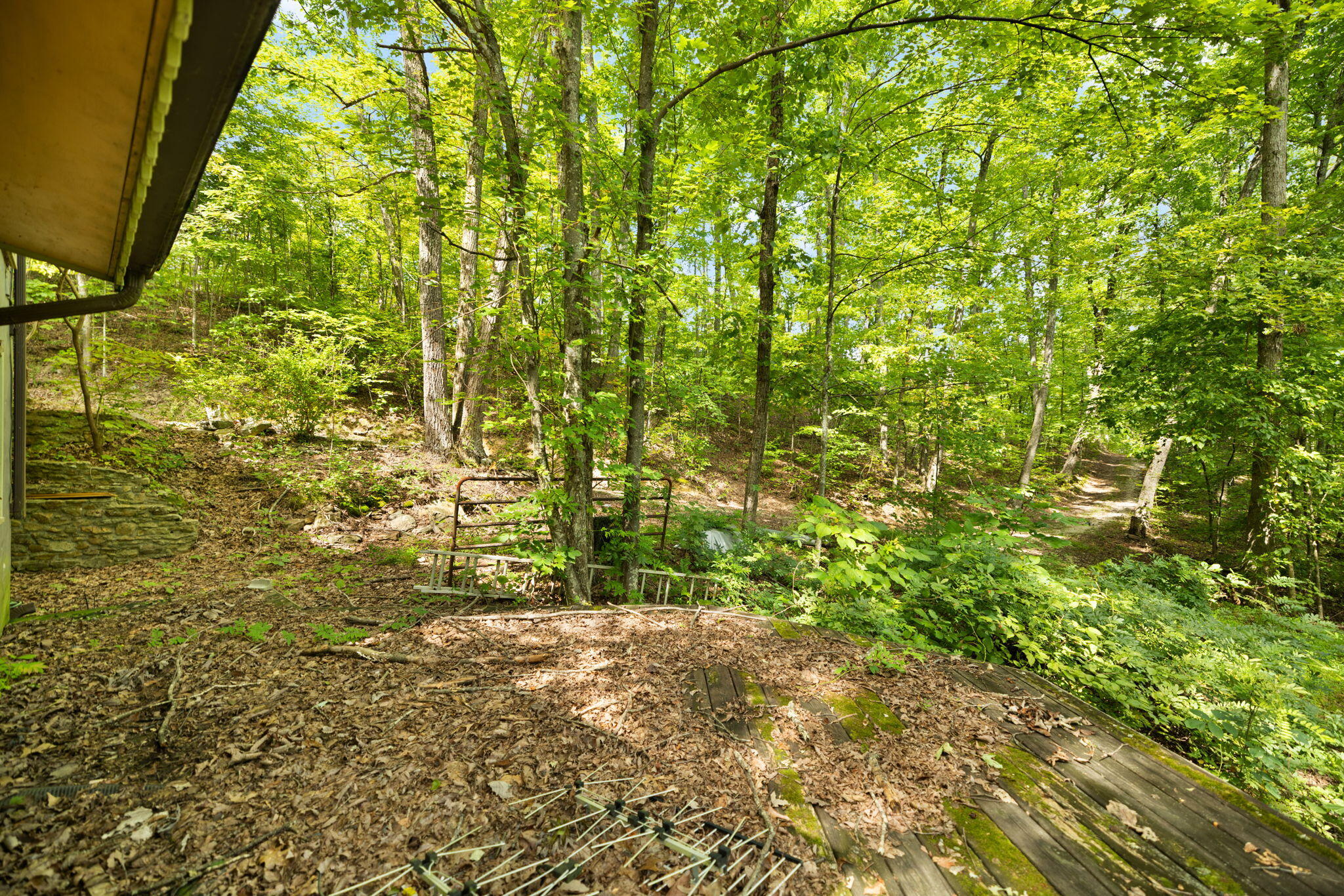 200 Lacy Lane Property Photo 14