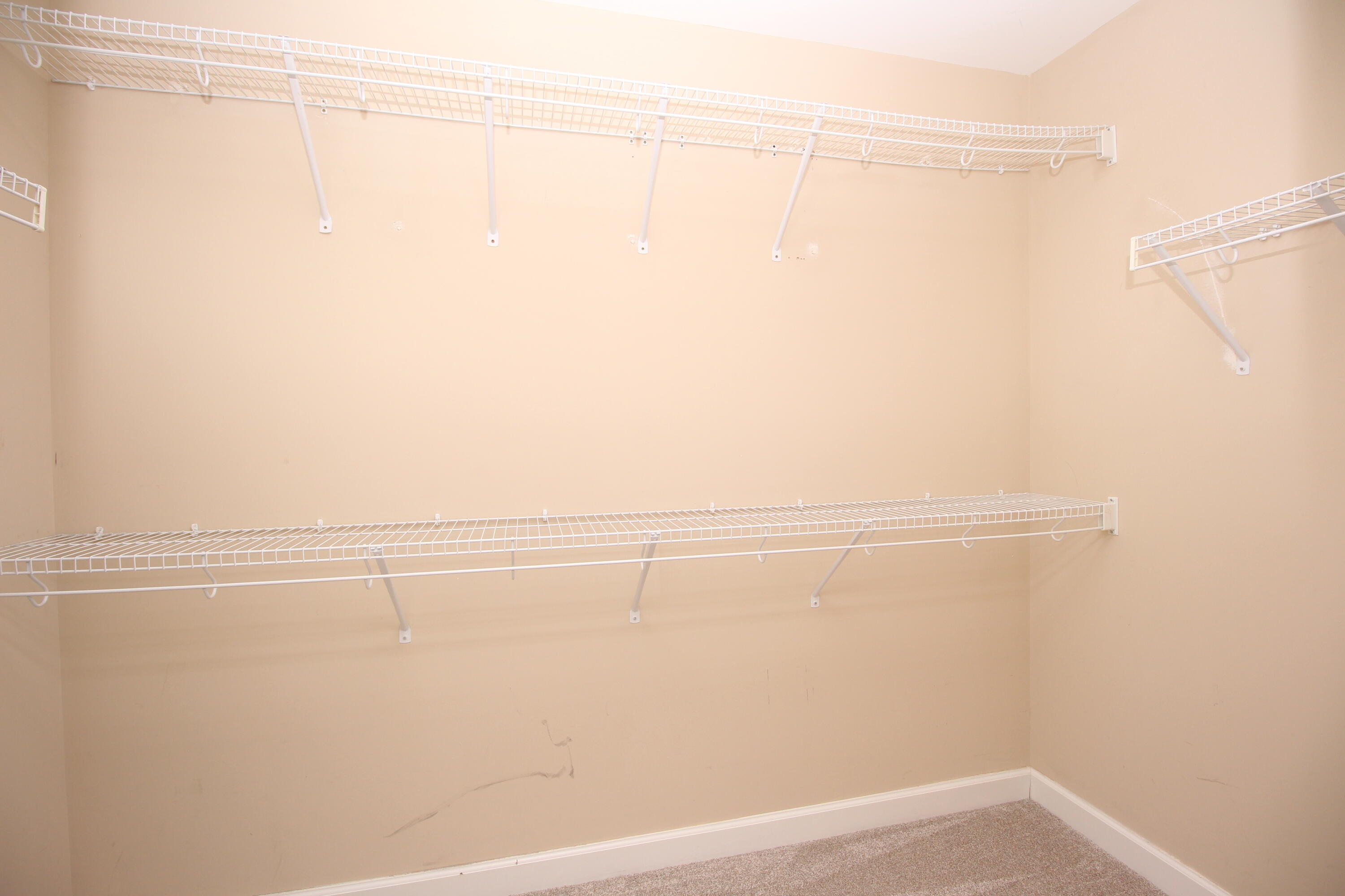 105 Stephen Drive Property Photo 19
