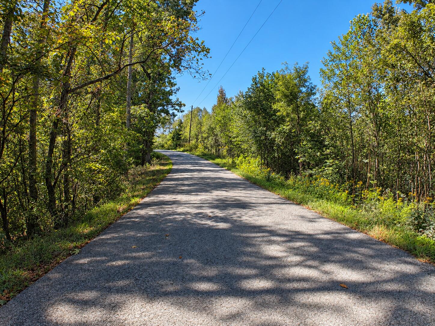 0 Watson Ridge Road 0 Property Photo 3