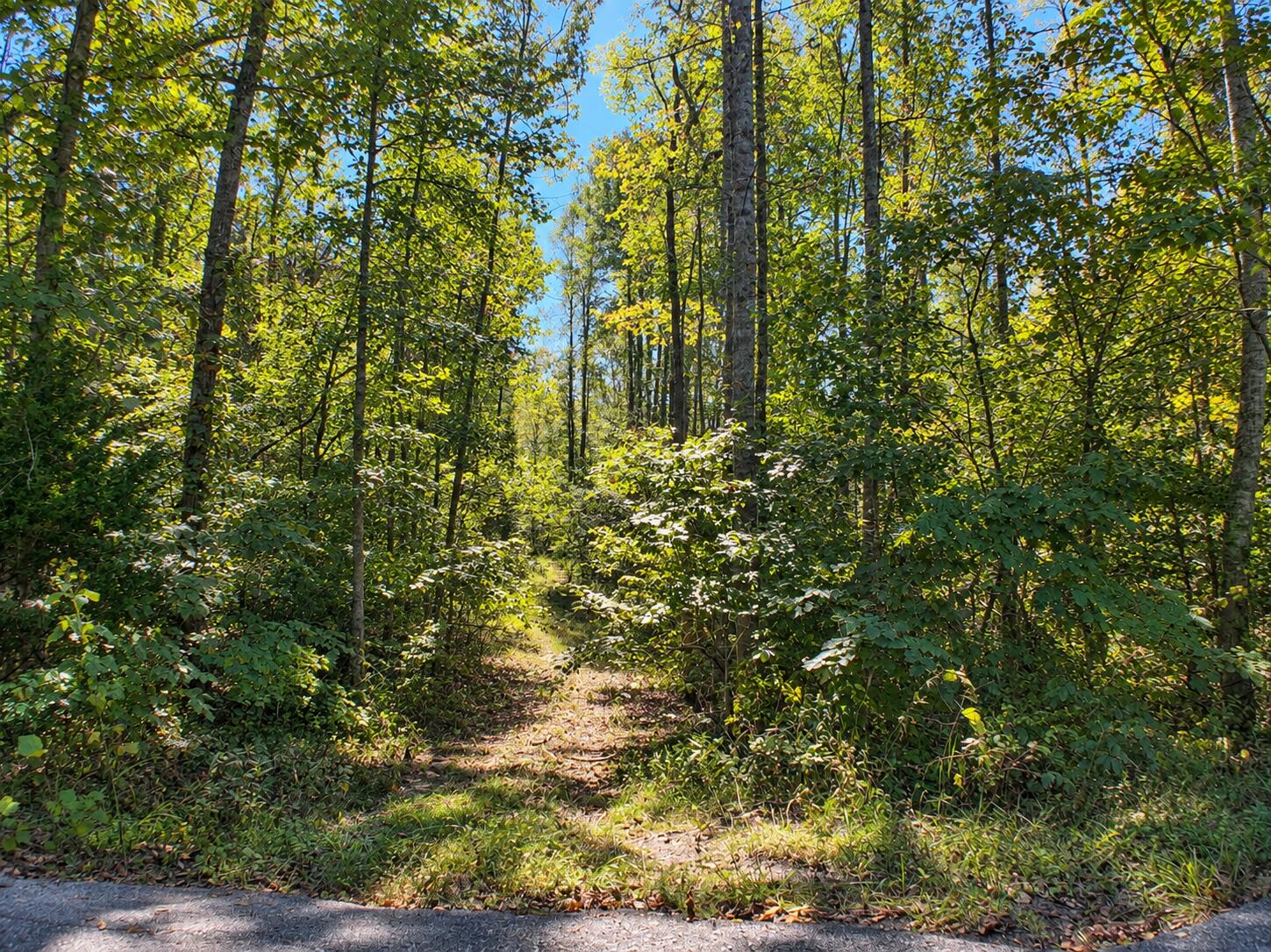0 Watson Ridge Road 0 Property Photo 5