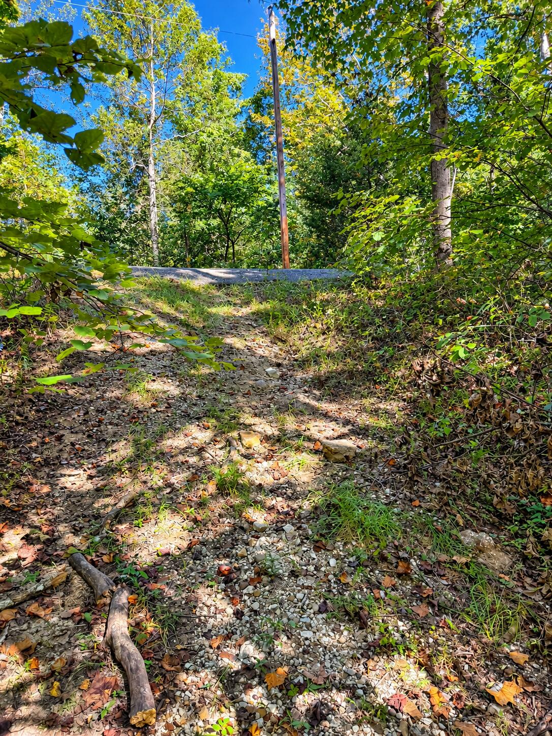 0 Watson Ridge Road 0 Property Photo 6