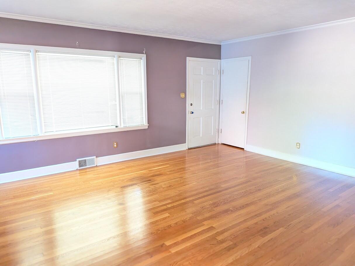 243 Burke Road Property Photo 5