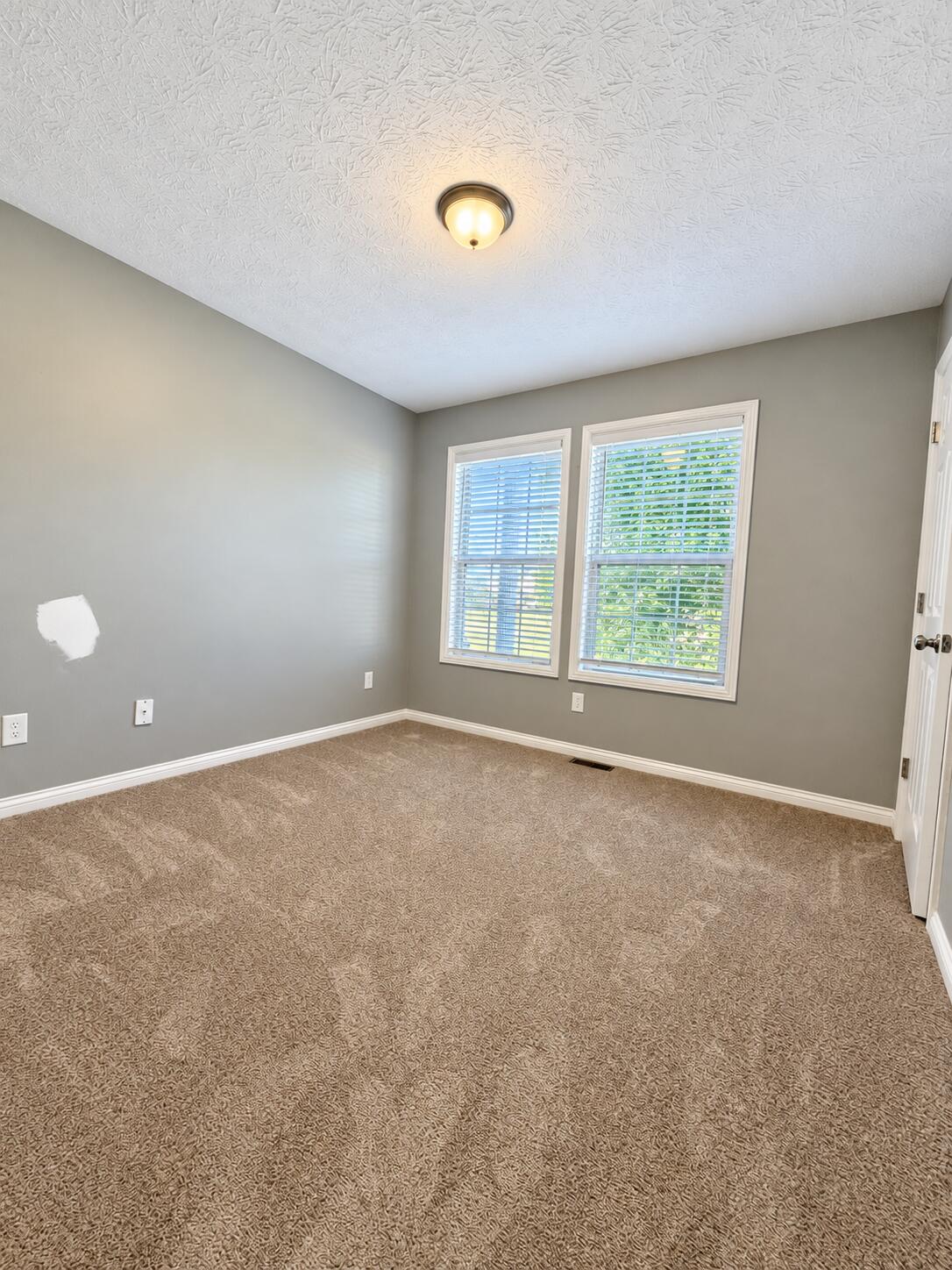 501 Scenic View Circle Property Photo 13