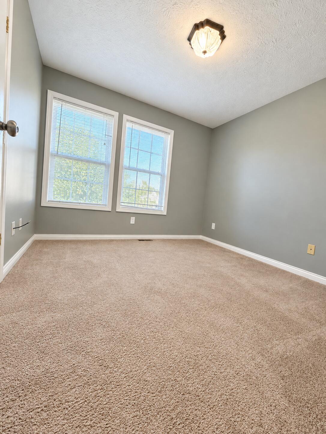 501 Scenic View Circle Property Photo 18
