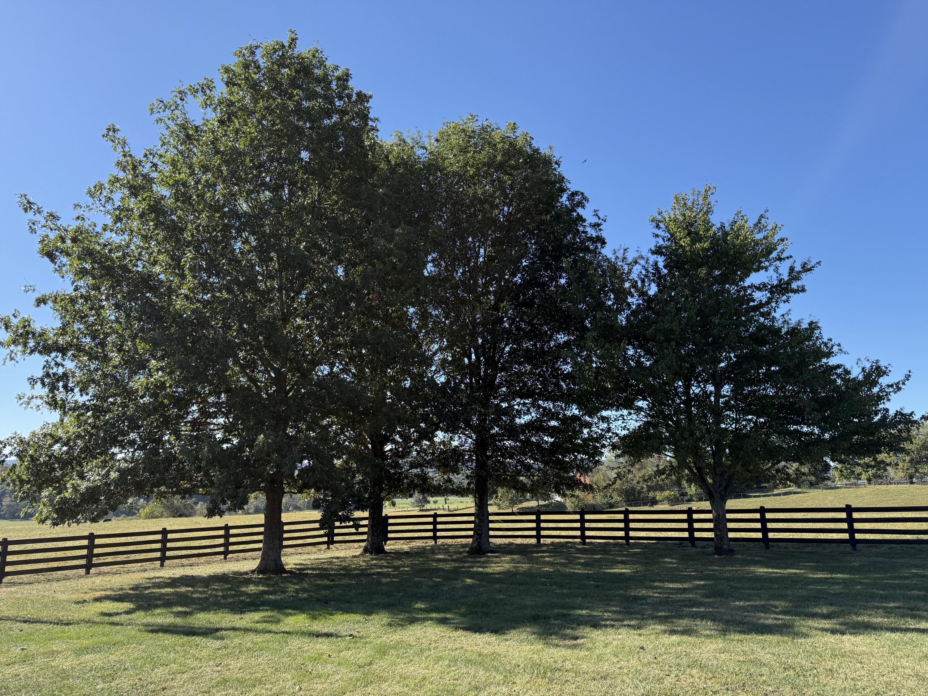 2165 Kentucky 1247 Property Photo 46