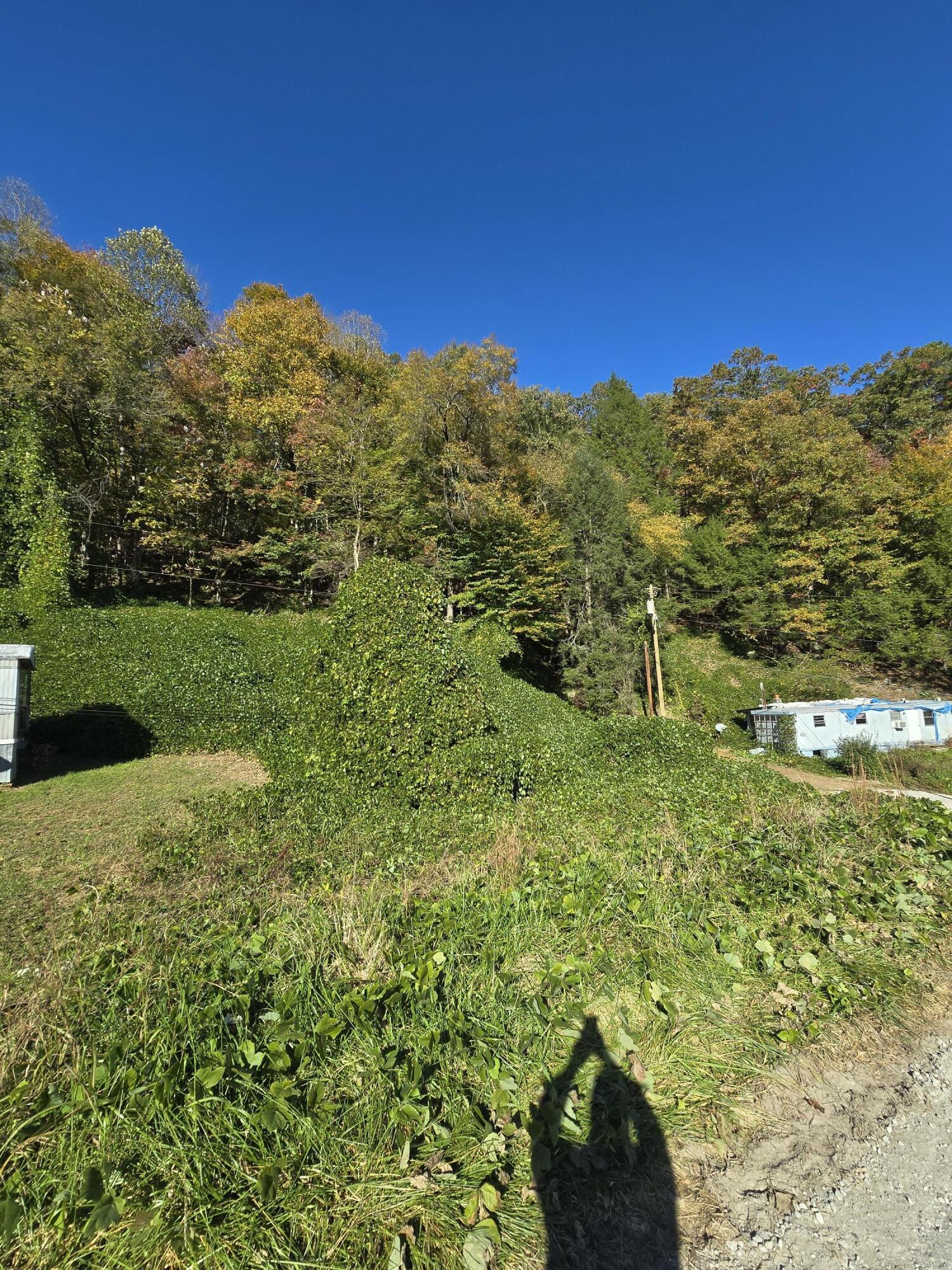 7756 Us-119 Property Photo 6