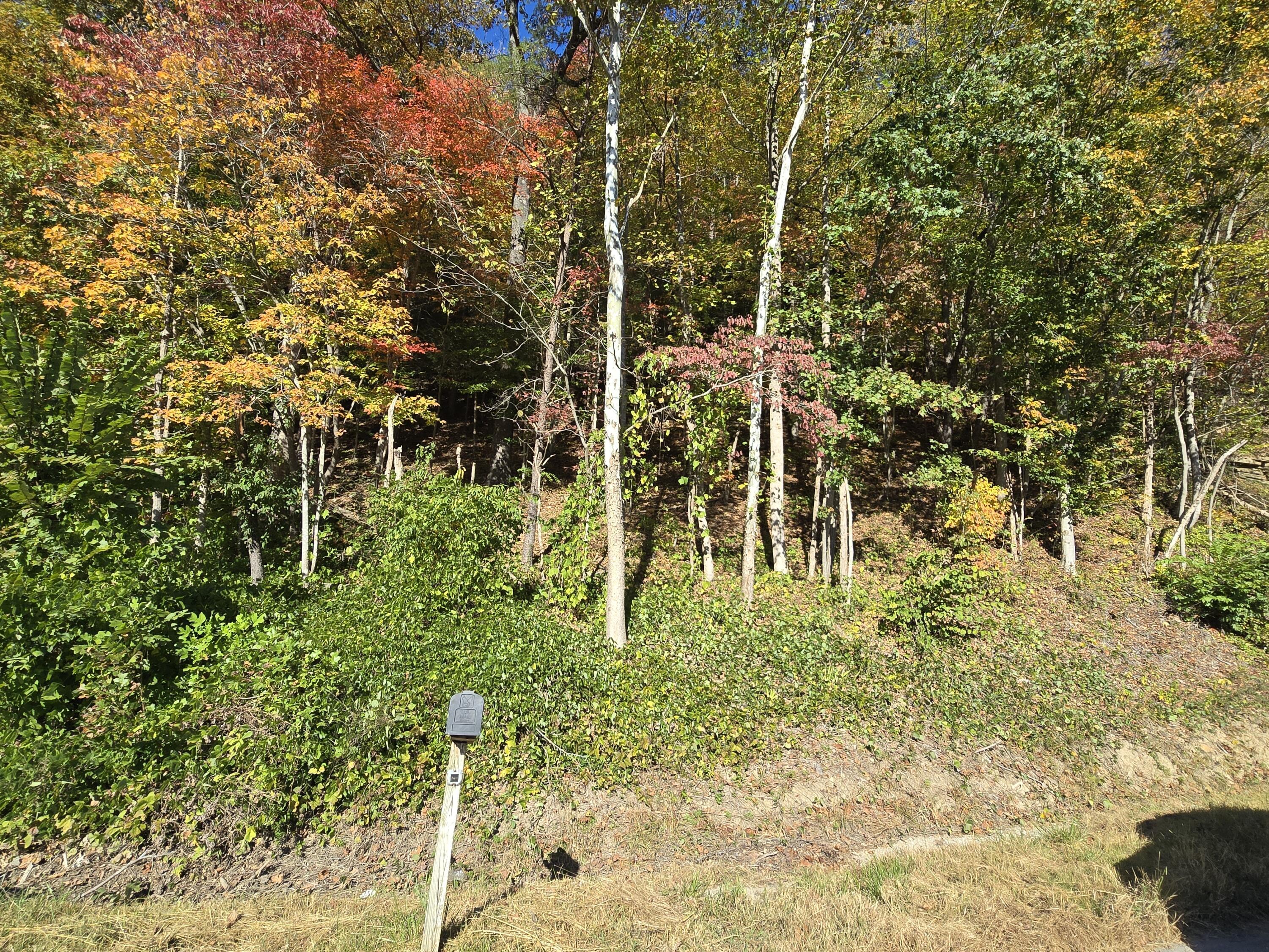 7756 Us-119 Property Photo 8