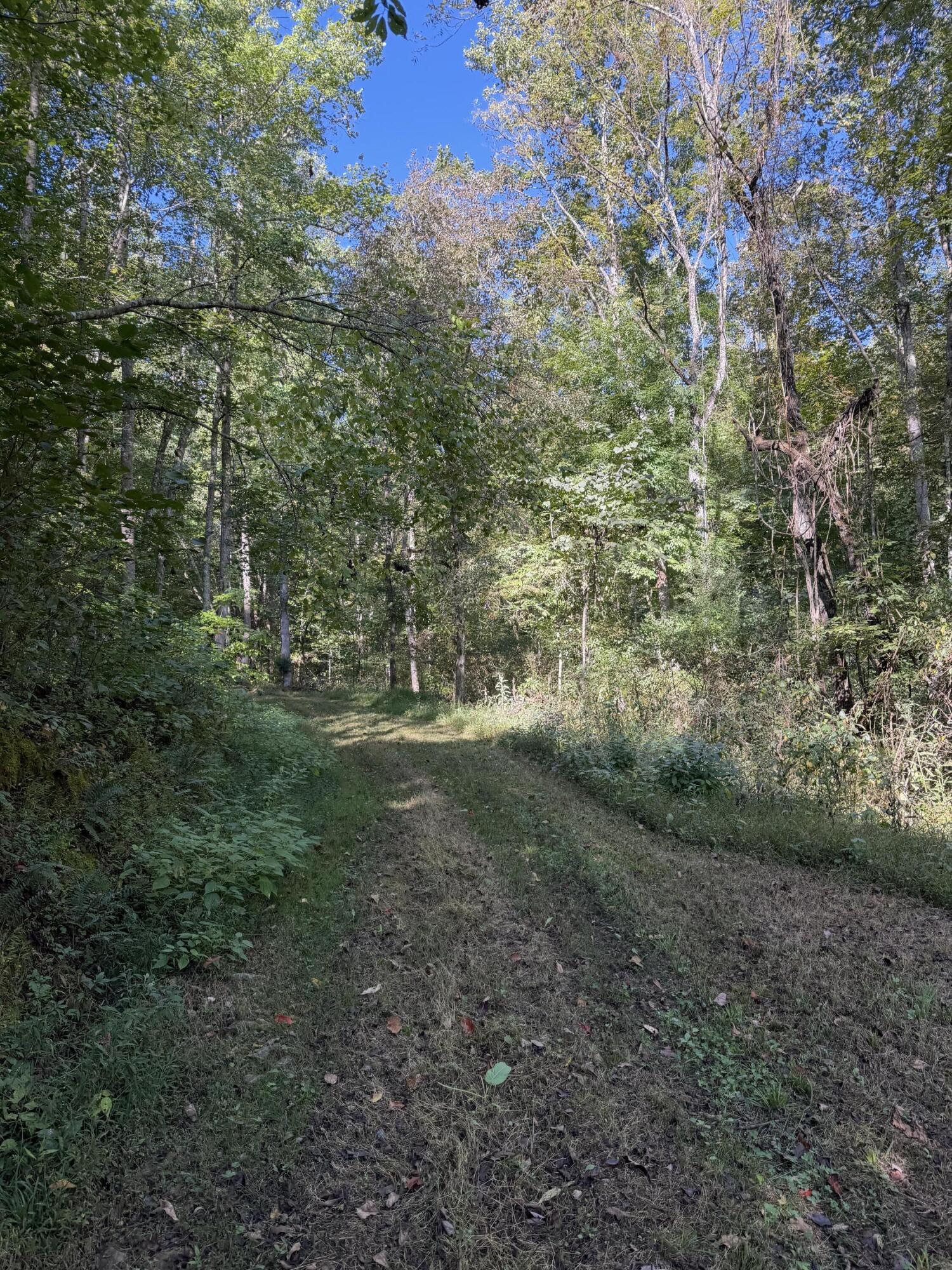 0 Theo Proffitt Road Property Photo 1