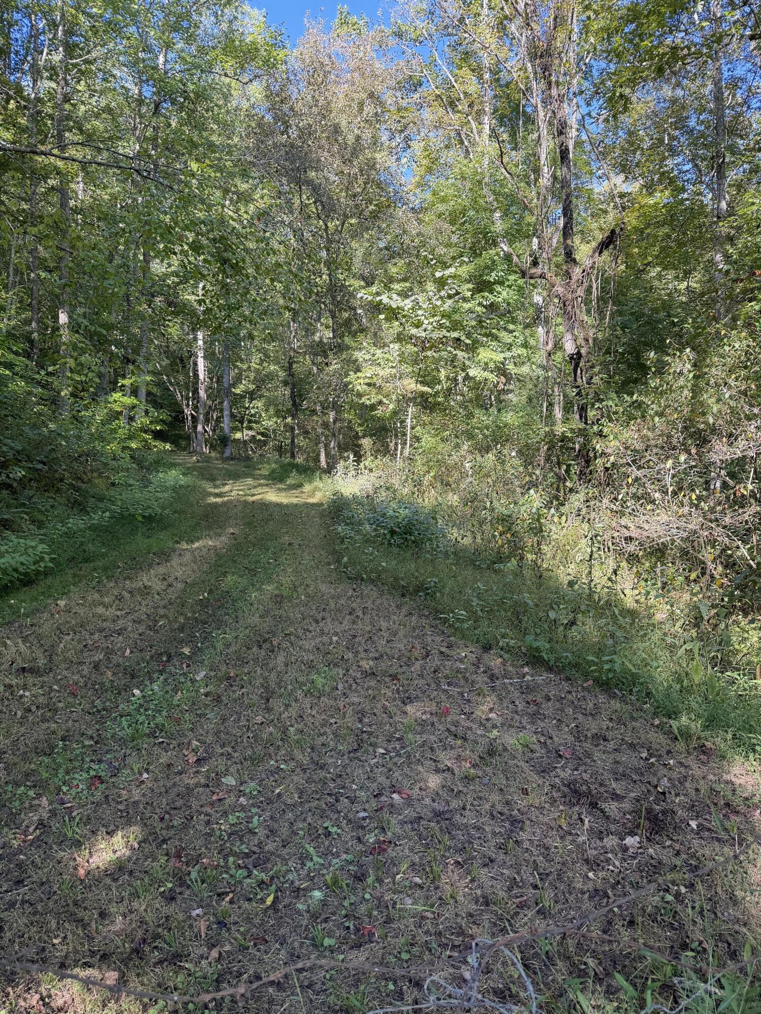 0 Theo Proffitt Road Property Photo 2