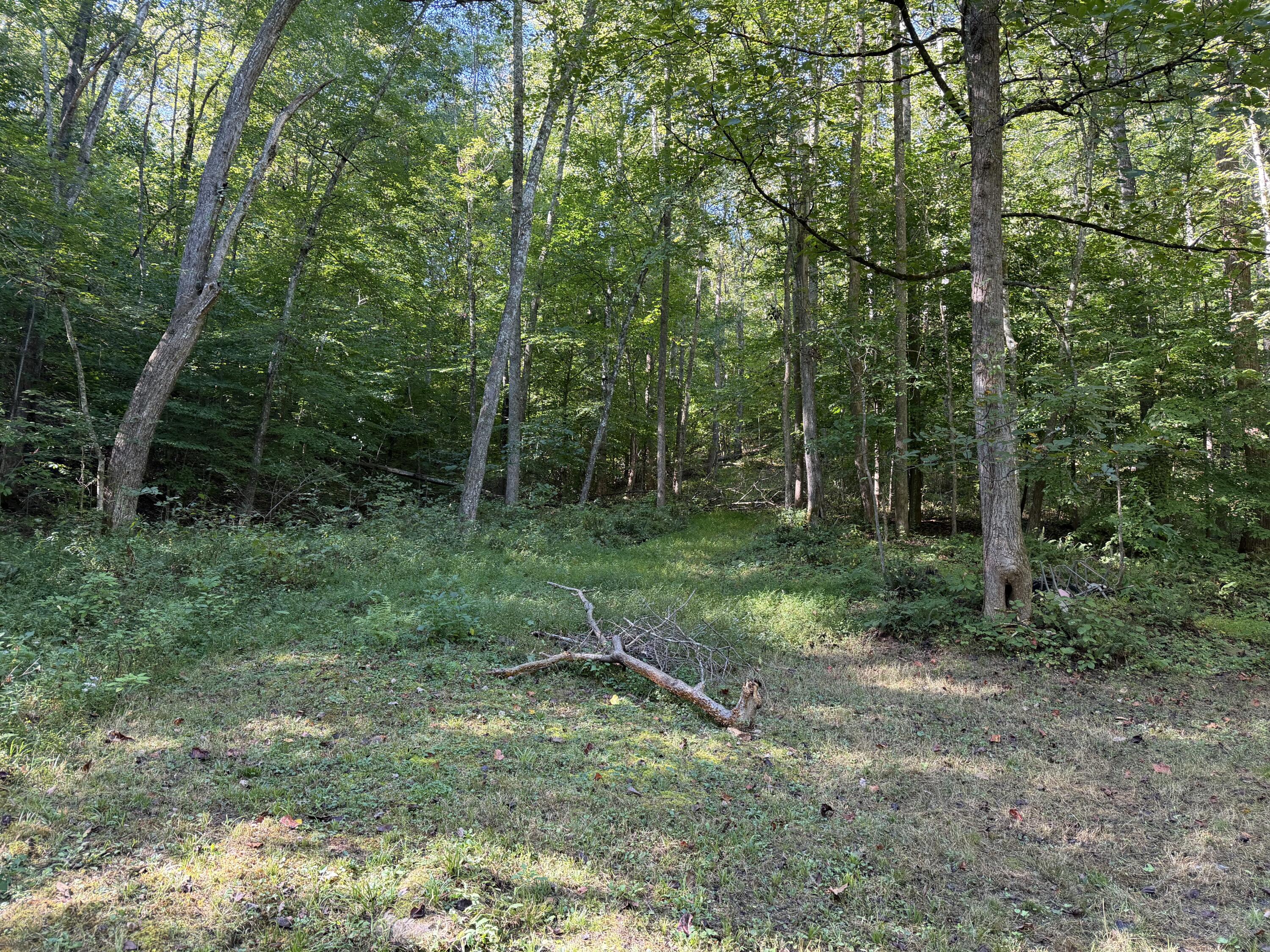 0 Theo Proffitt Road Property Photo 3