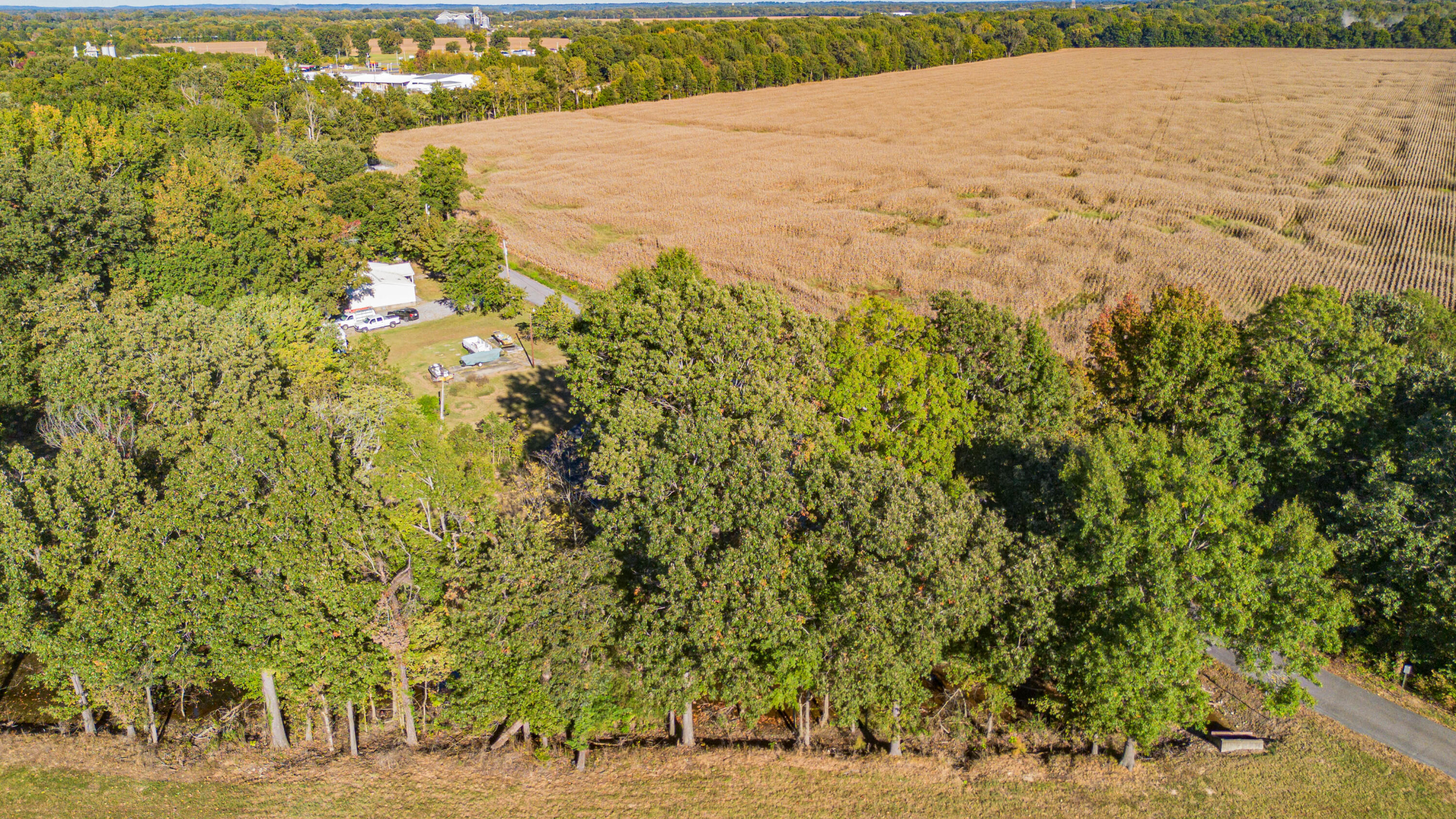 219 Georgia Street Property Photo 62