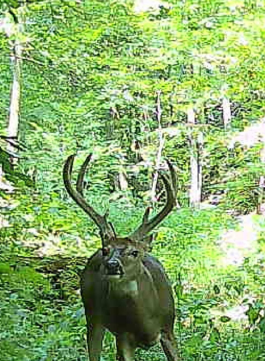 292-999 Short Branch Road Property Photo 2
