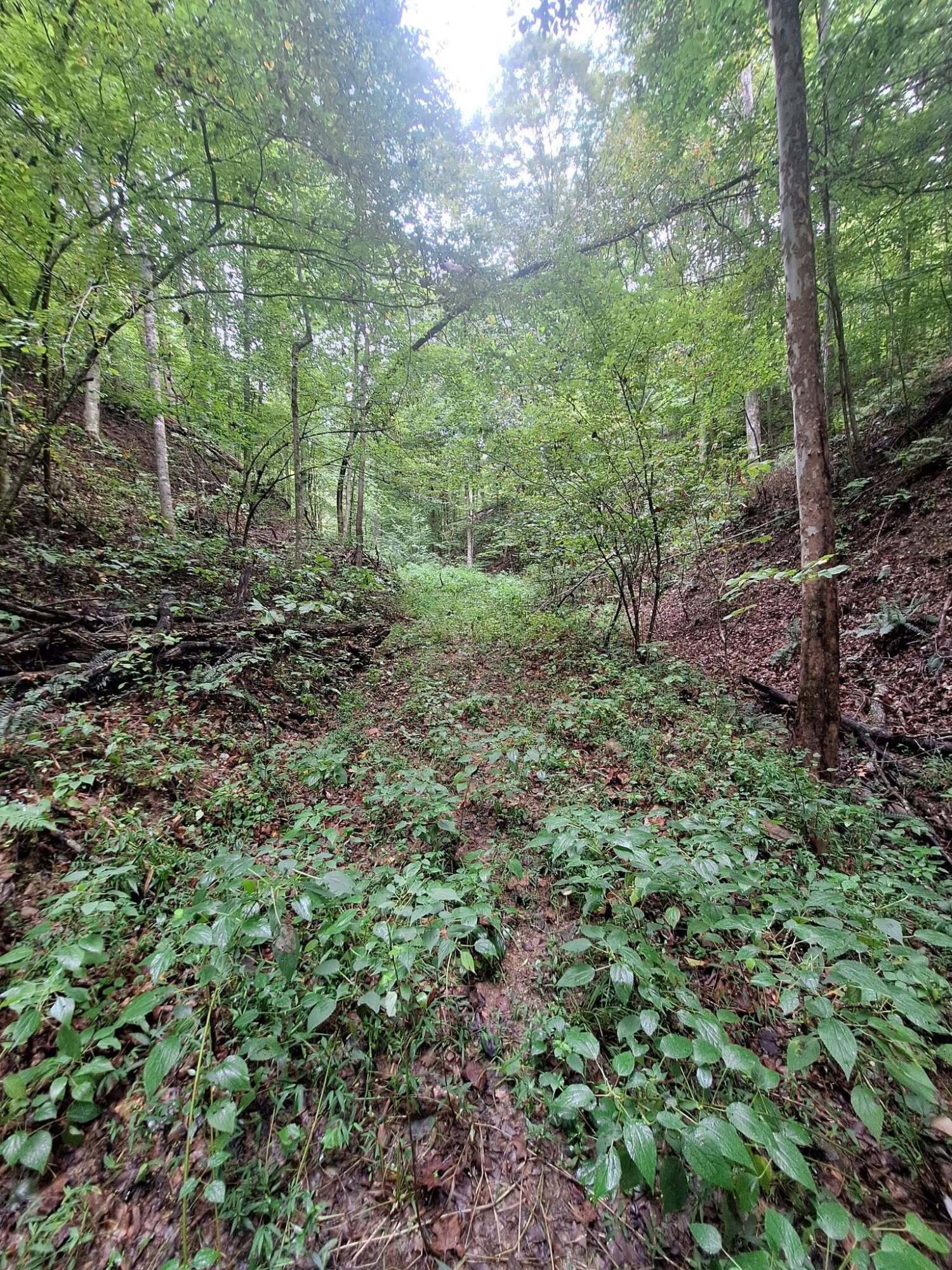 292-999 Short Branch Road Property Photo 4