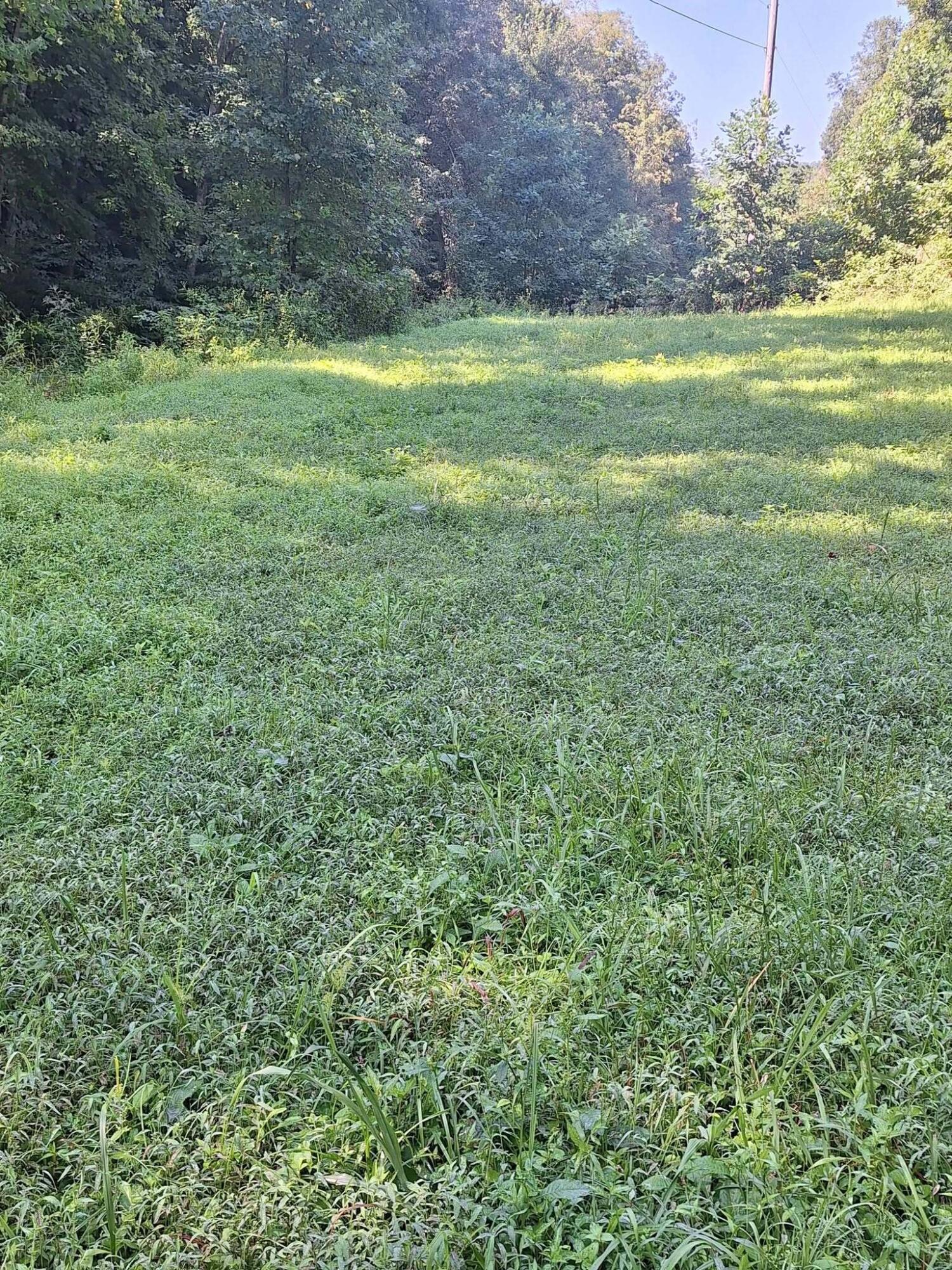 292-999 Short Branch Road Property Photo 5