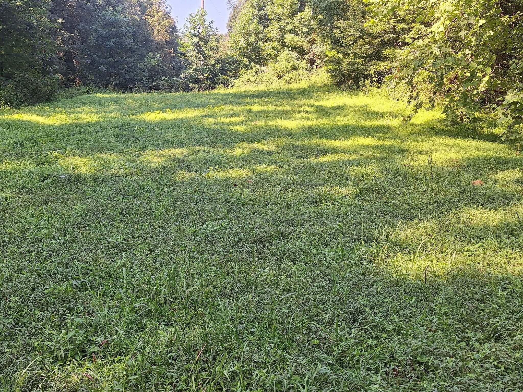 292-999 Short Branch Road Property Photo 6