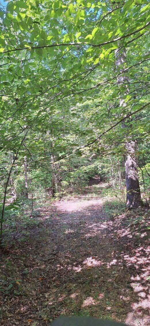 292-999 Short Branch Road Property Photo 14
