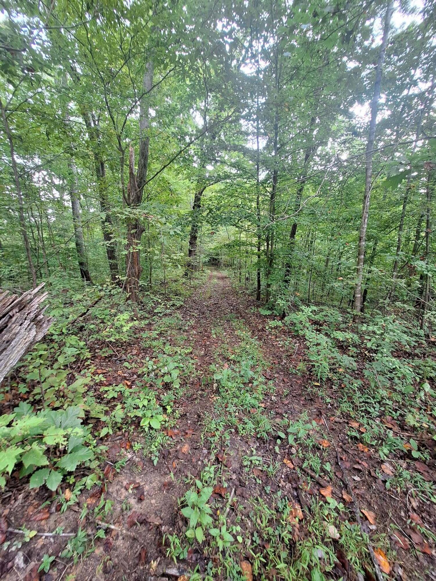 292-999 Short Branch Road Property Photo 16