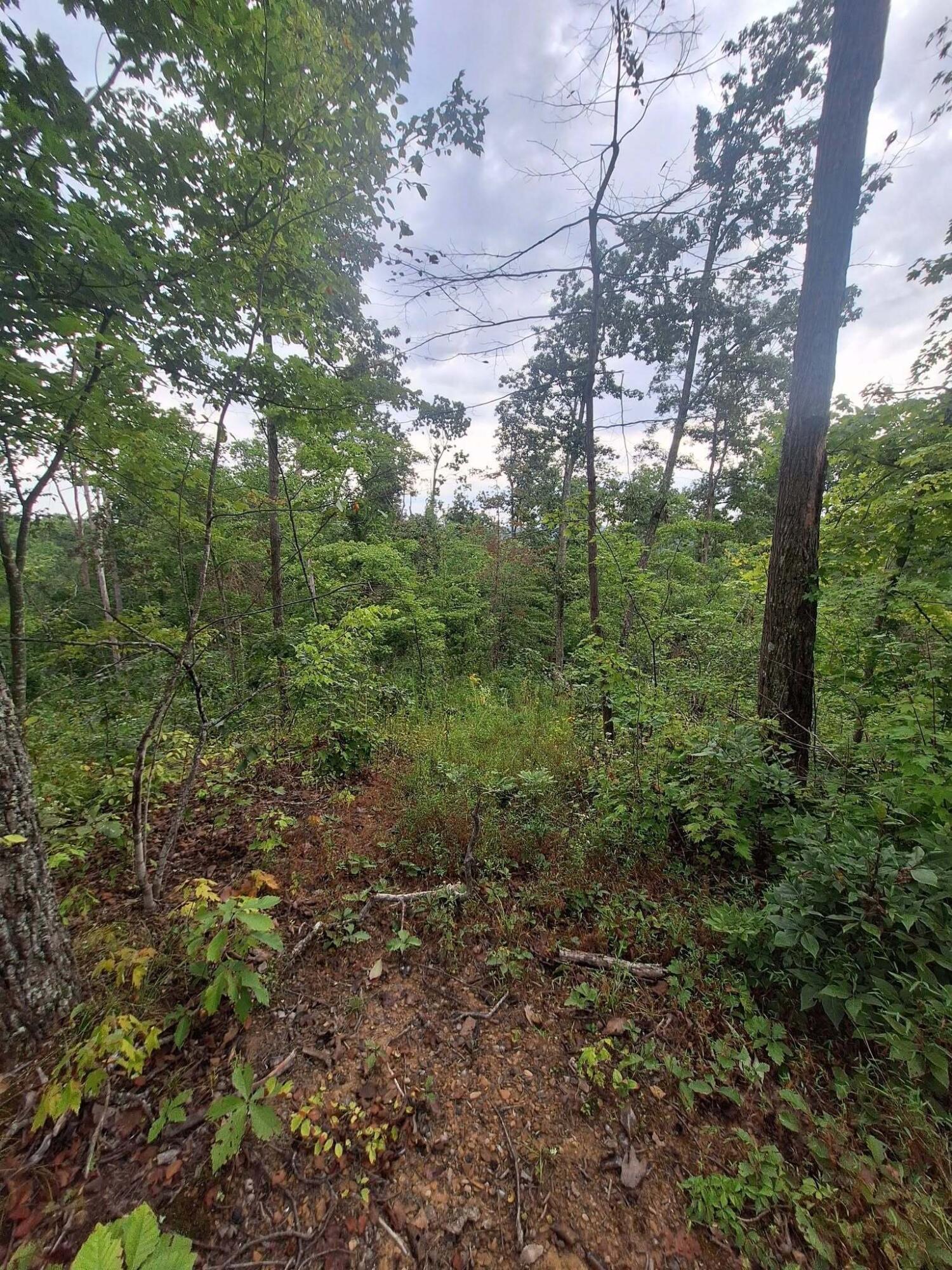 292-999 Short Branch Road Property Photo 18