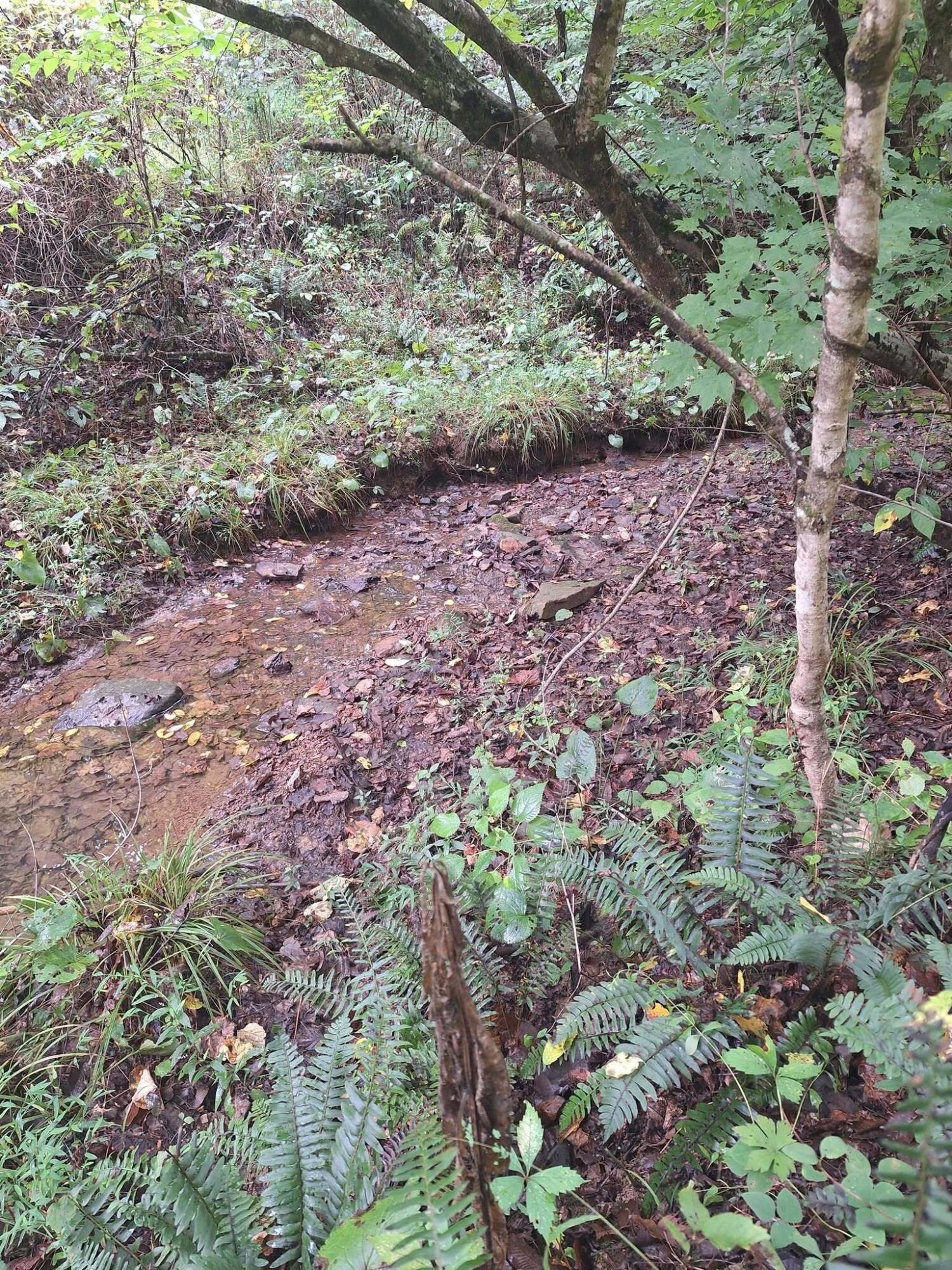 292-999 Short Branch Road Property Photo 19