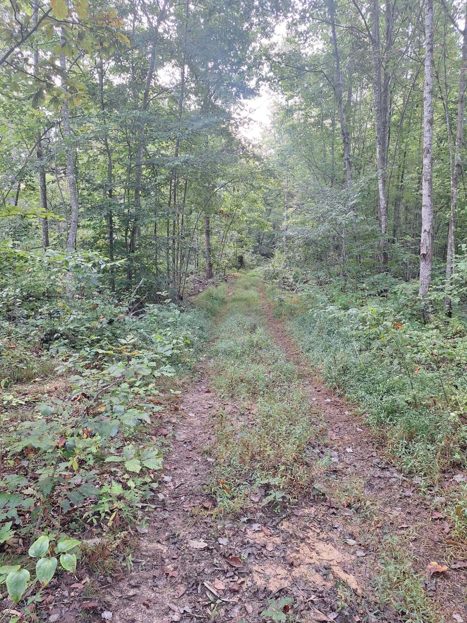 292-999 Short Branch Road Property Photo 20