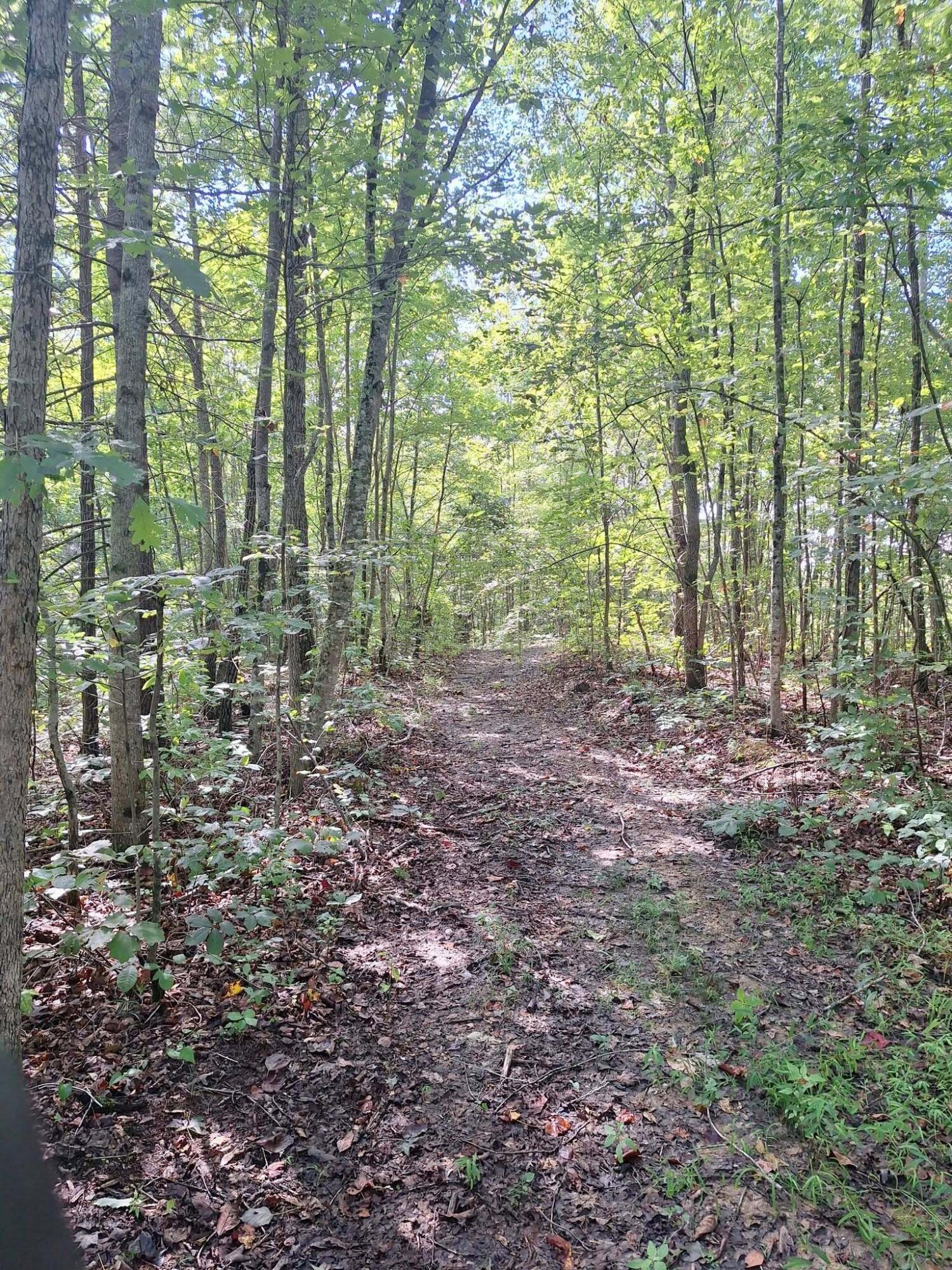 292-999 Short Branch Road Property Photo 21